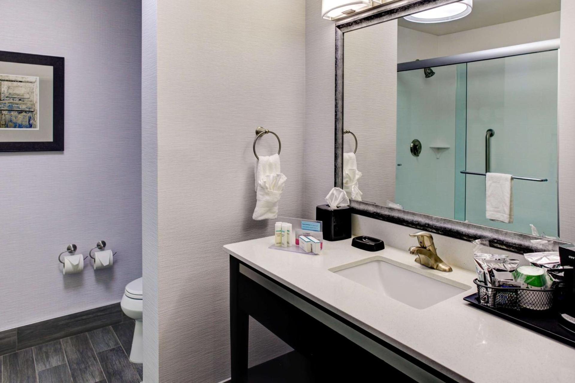 Hampton Inn and Suites Columbus, MS photo 37