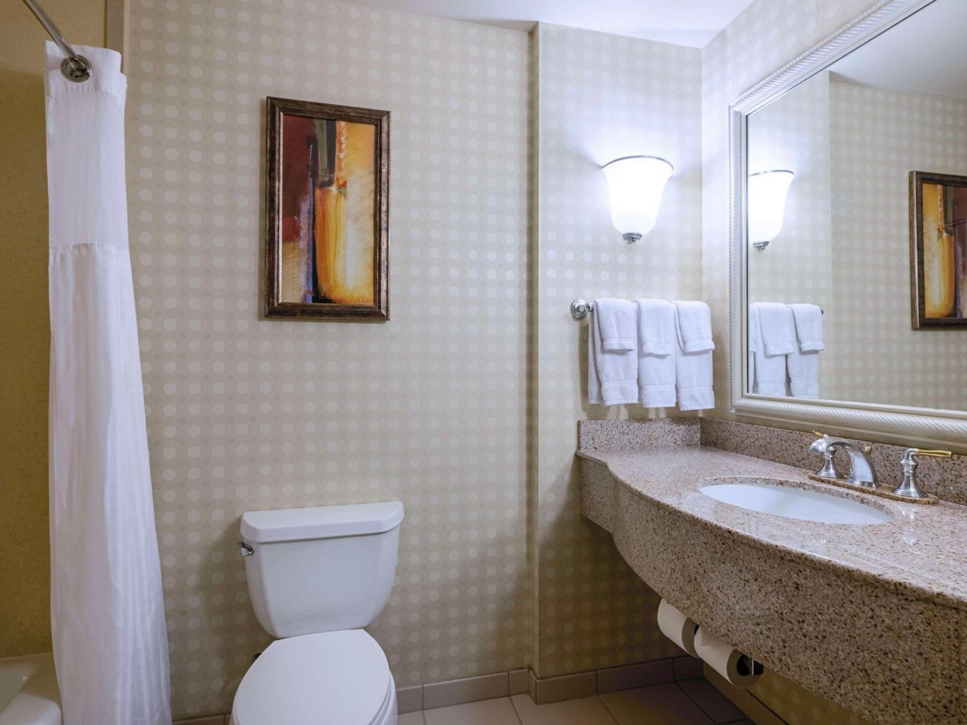 Hilton Garden Inn Las Vegas Strip South photo 63