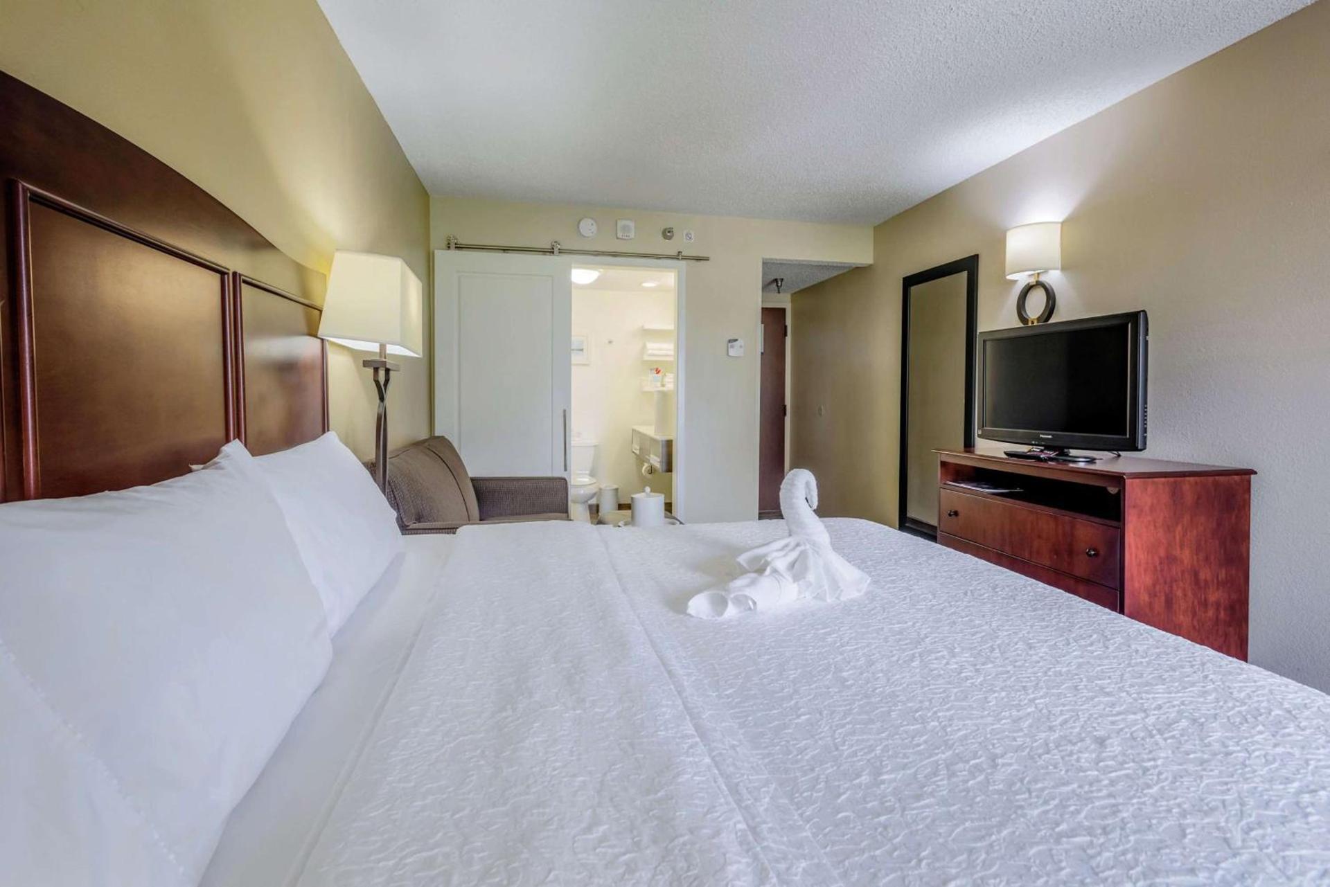 Hampton Inn Tampa International Airport/Westshore photo 39