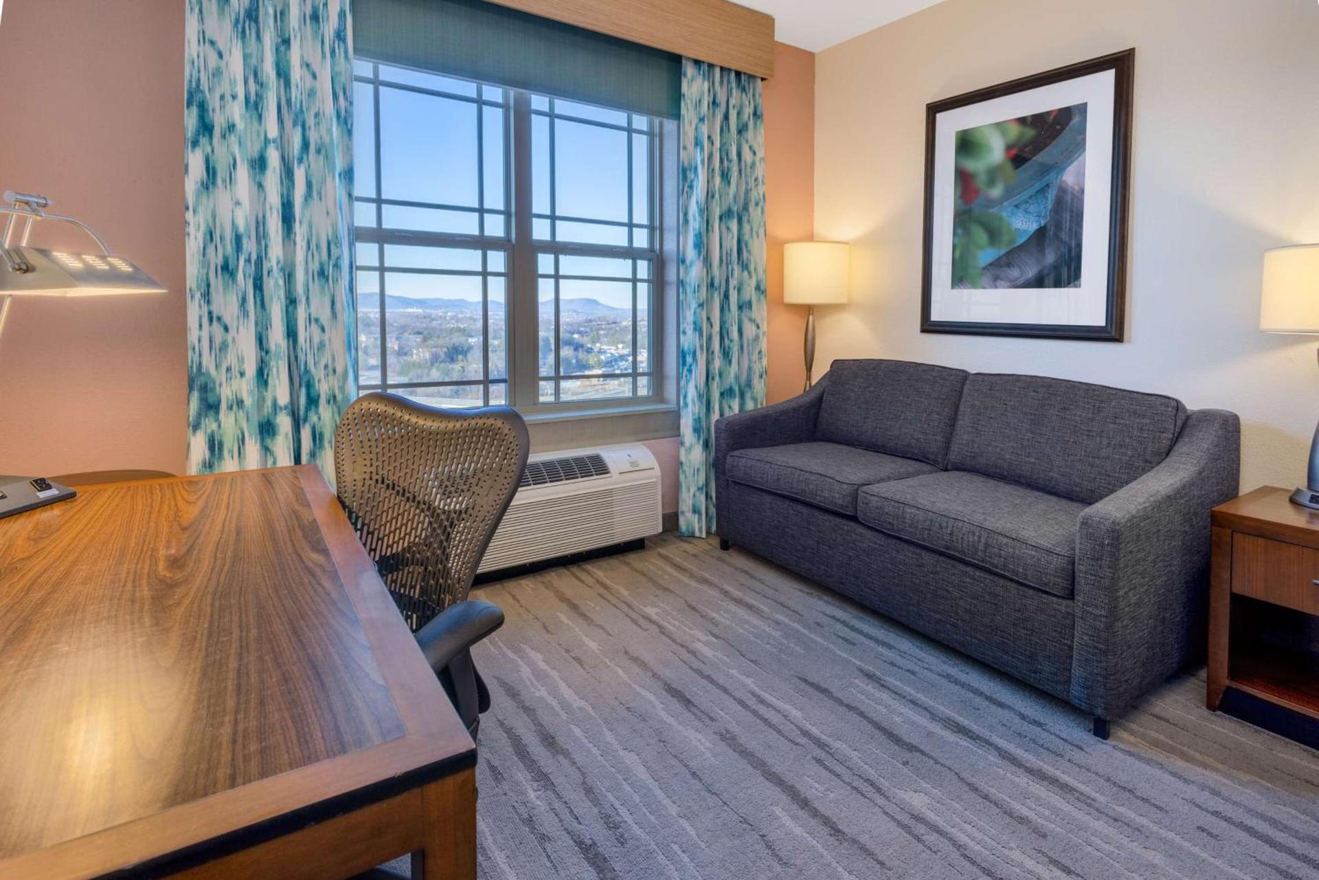 Hilton Garden Inn Roanoke photo 34