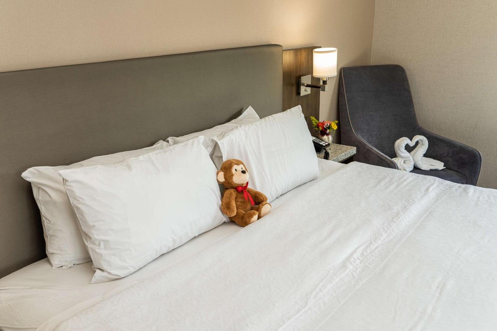 Hampton Inn San Francisco Downtown/Convention Center photo 88