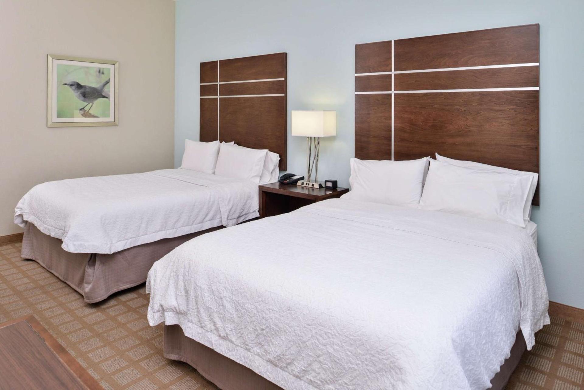 Hampton Inn and Suites Hutto photo 22
