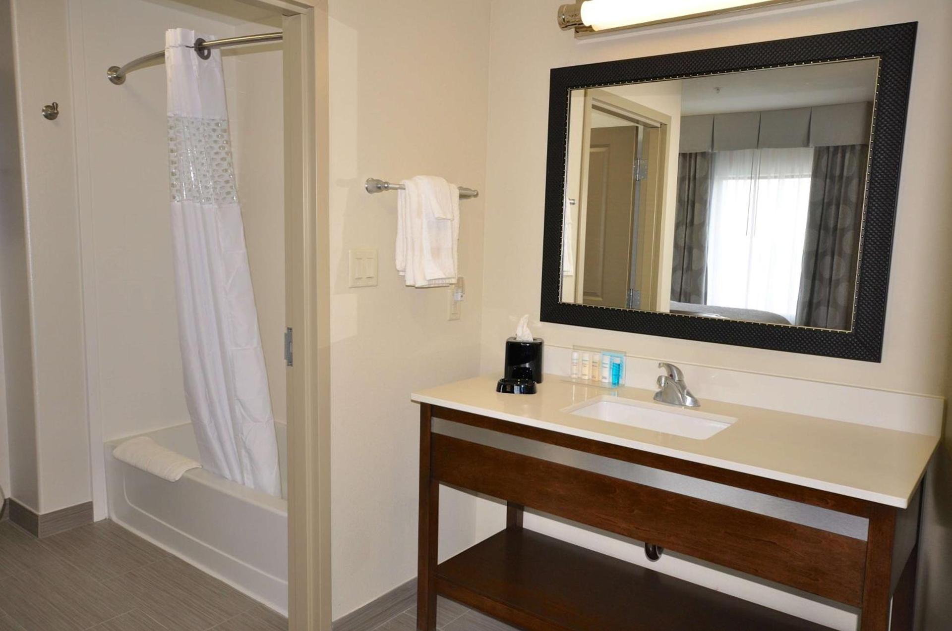 Hampton Inn and Suites Hutto photo 38