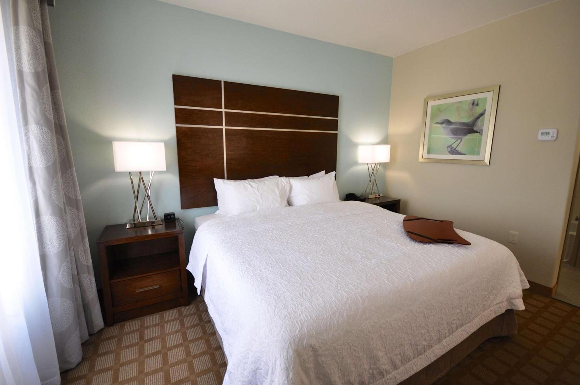 Hampton Inn and Suites Hutto photo 39