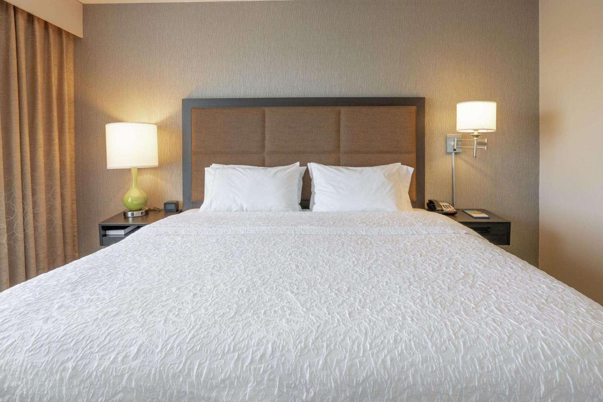 Hampton Inn and Suites Georgetown/Austin North, TX photo 13