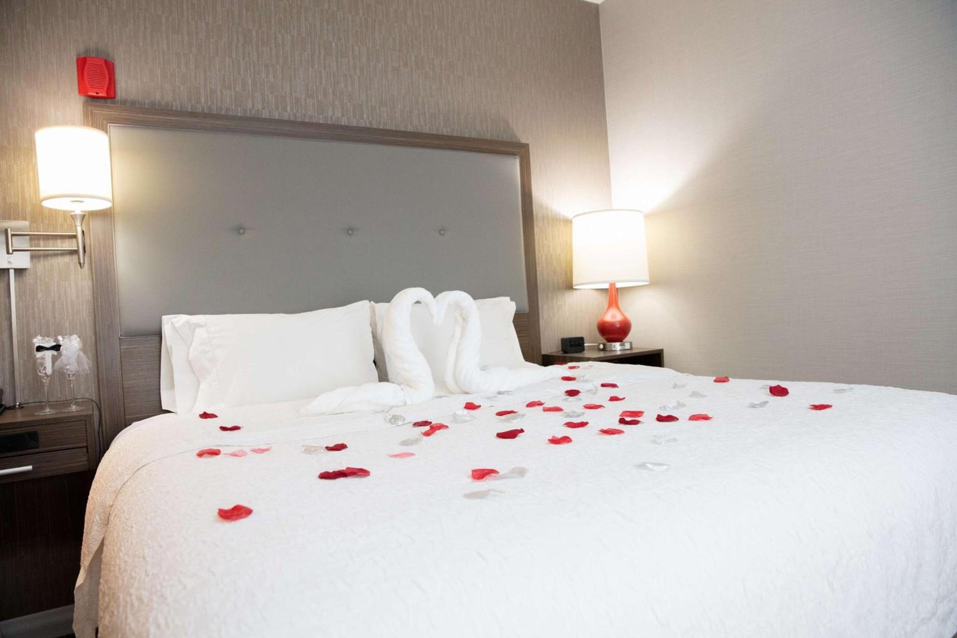 Hampton Inn Toledo Oregon photo 27