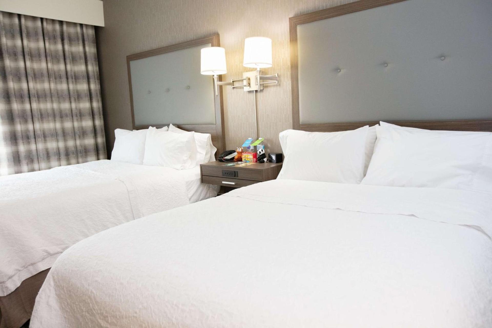 Hampton Inn Toledo Oregon photo 28