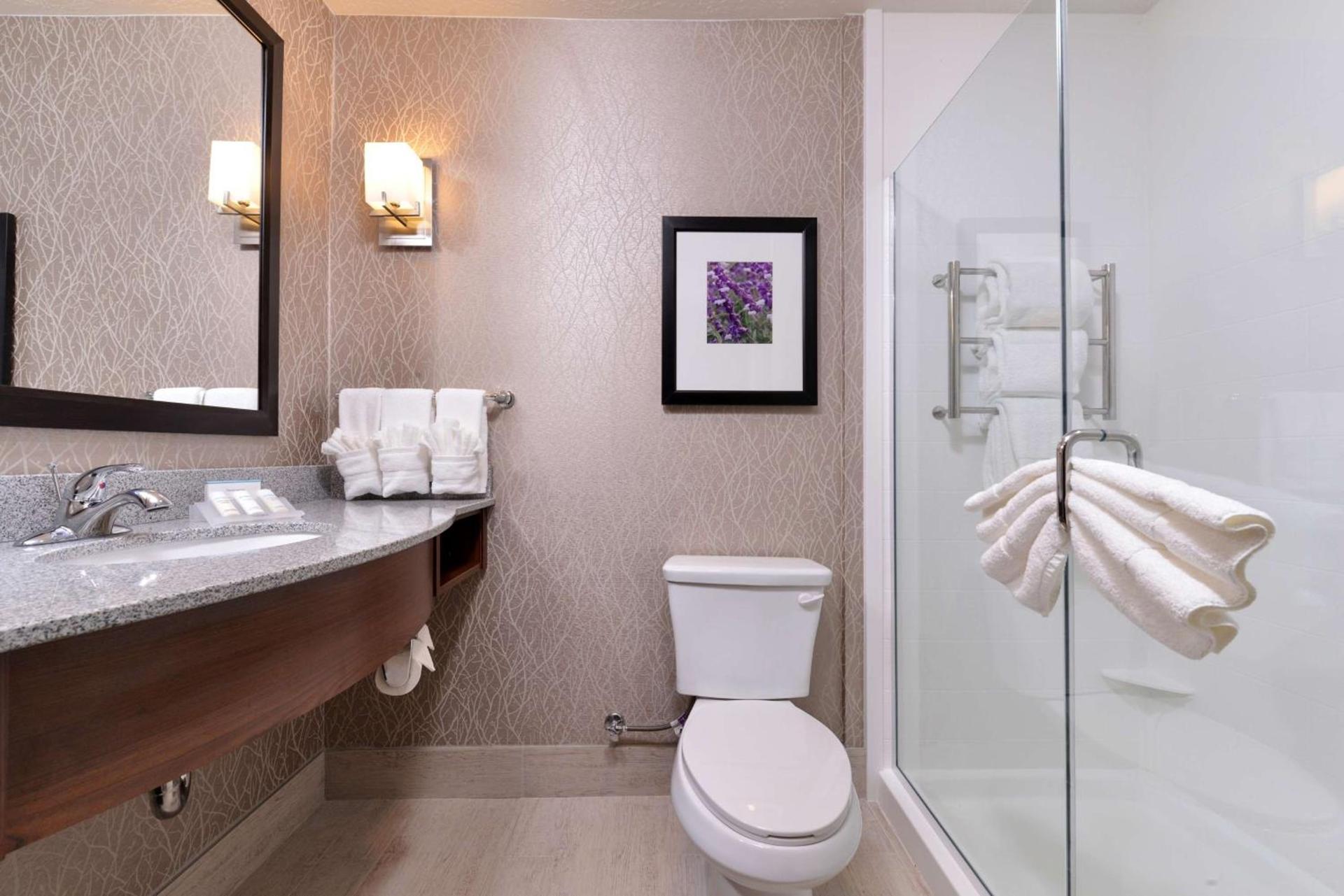 Hilton Garden Inn Hobbs photo 18