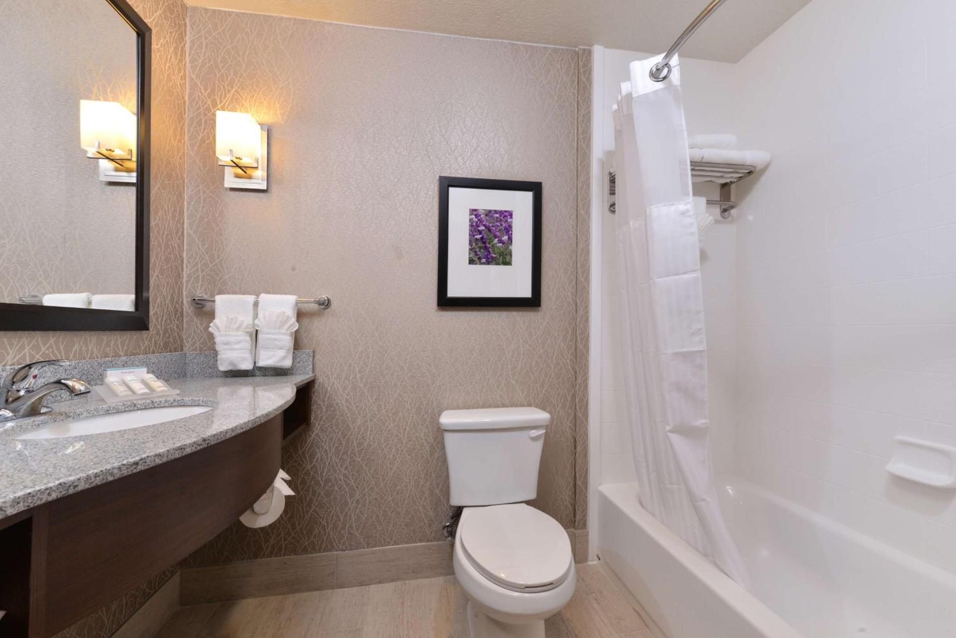 Hilton Garden Inn Hobbs photo 38