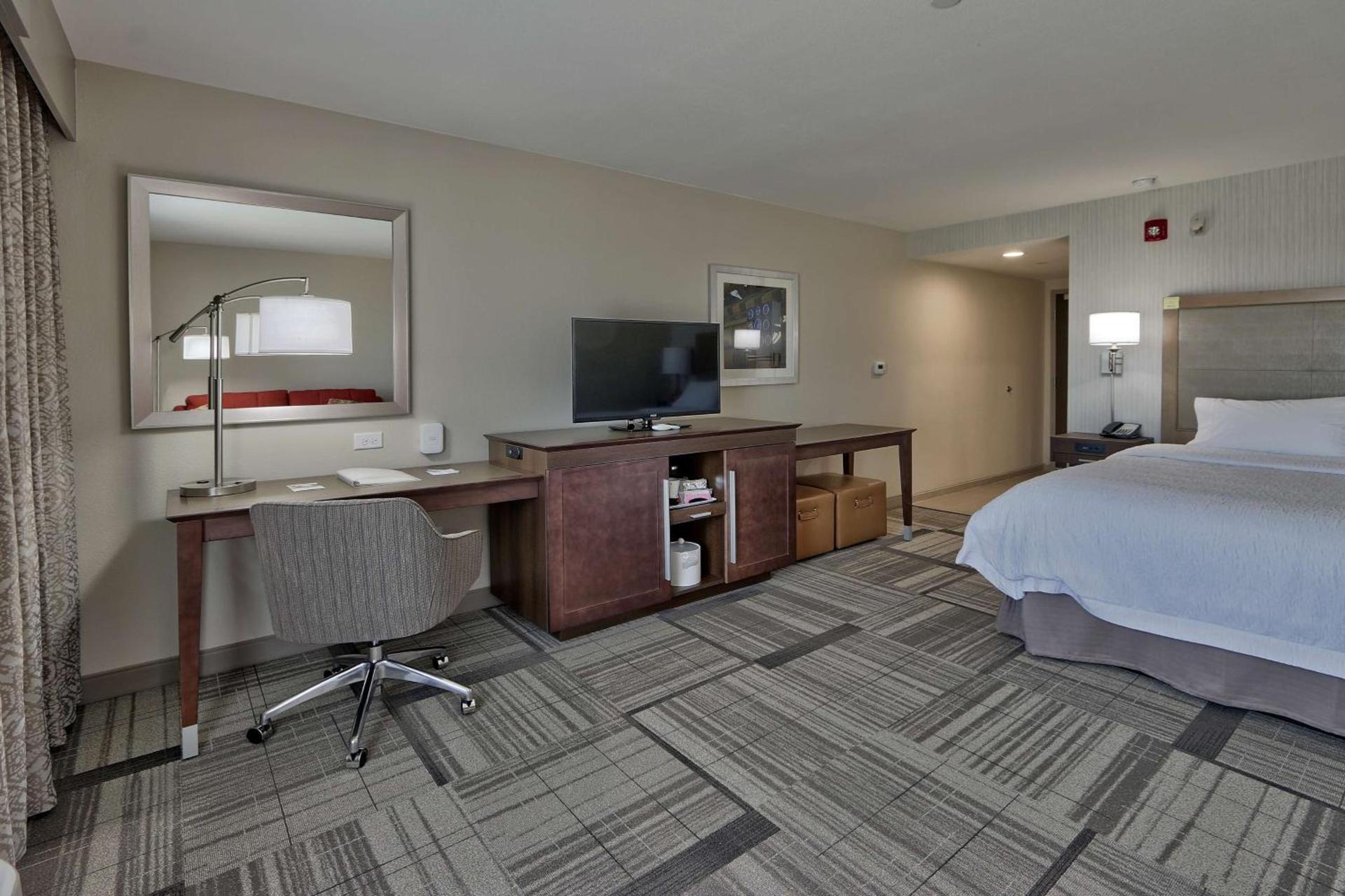 Hampton Inn & Suites Artesia photo 30
