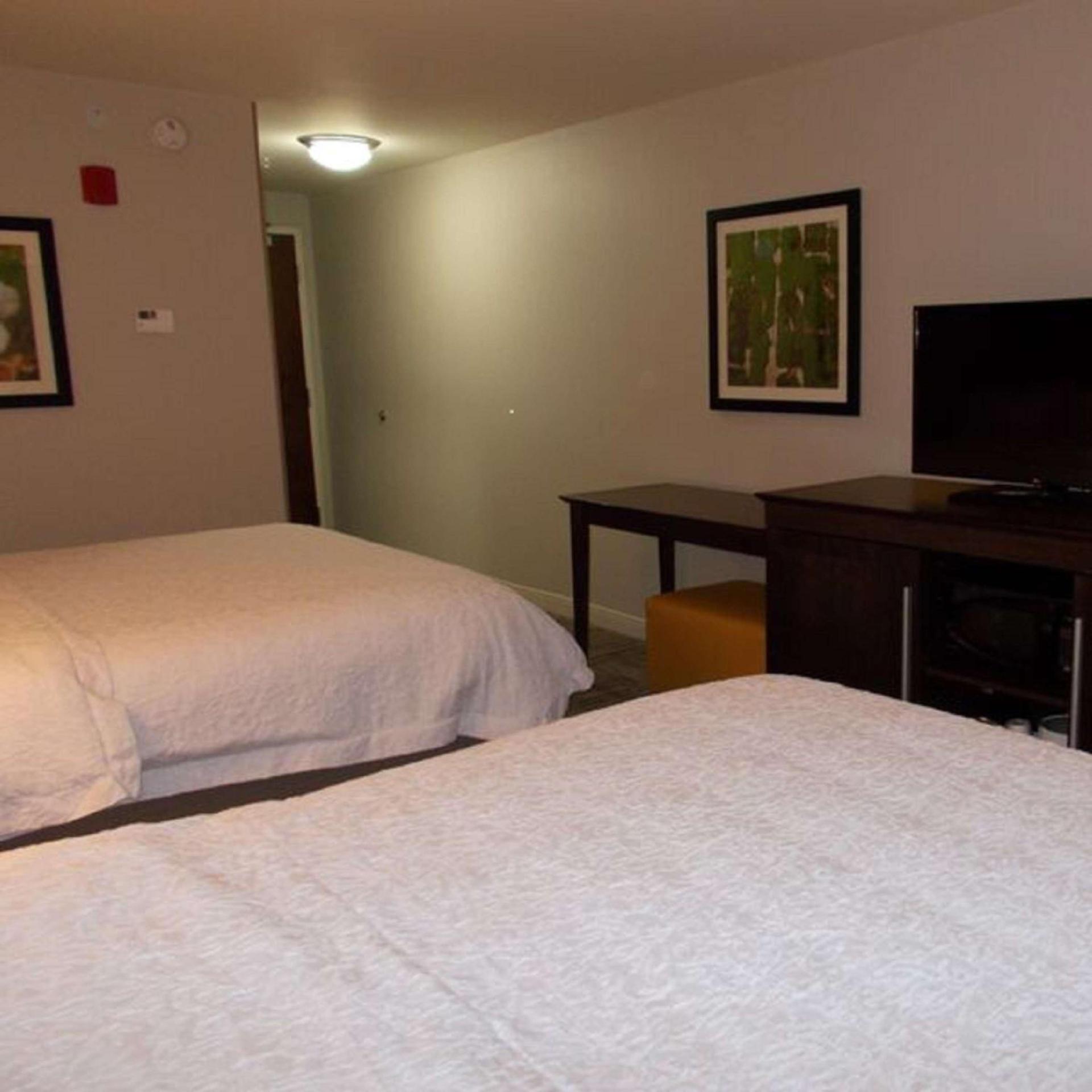 Hampton Inn Waynesboro photo 28