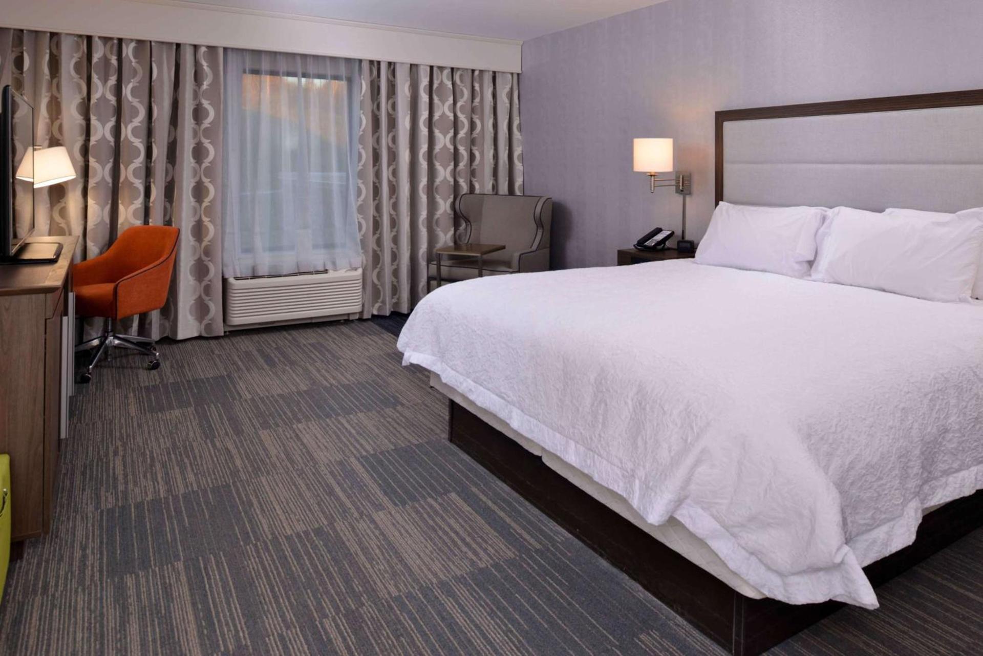 Hampton Inn & Suites Albany-East Greenbush, NY photo 18