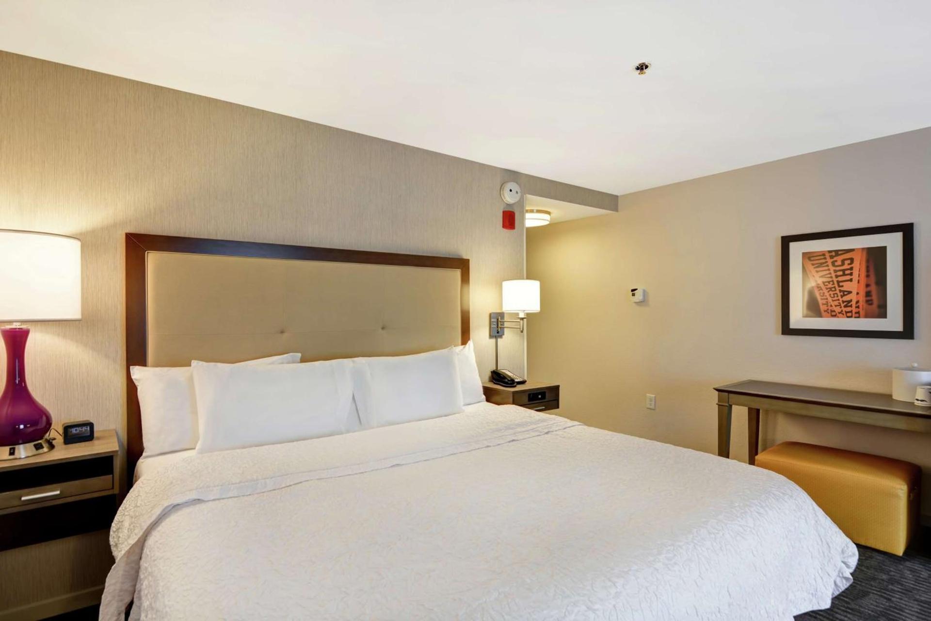 Hampton Inn Suites Ashland, Ohio photo 28