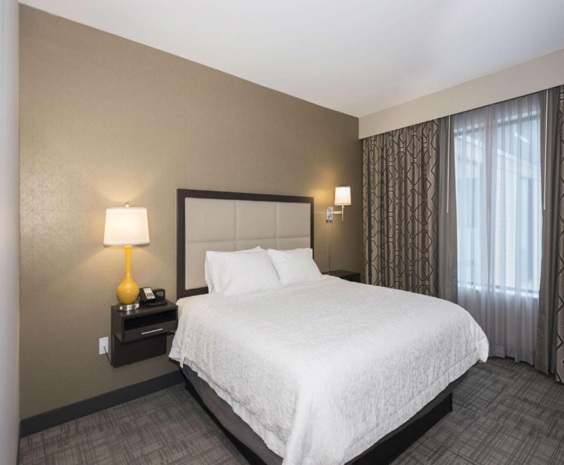 Hampton Inn and Suites Minneapolis University Area, MN photo 13