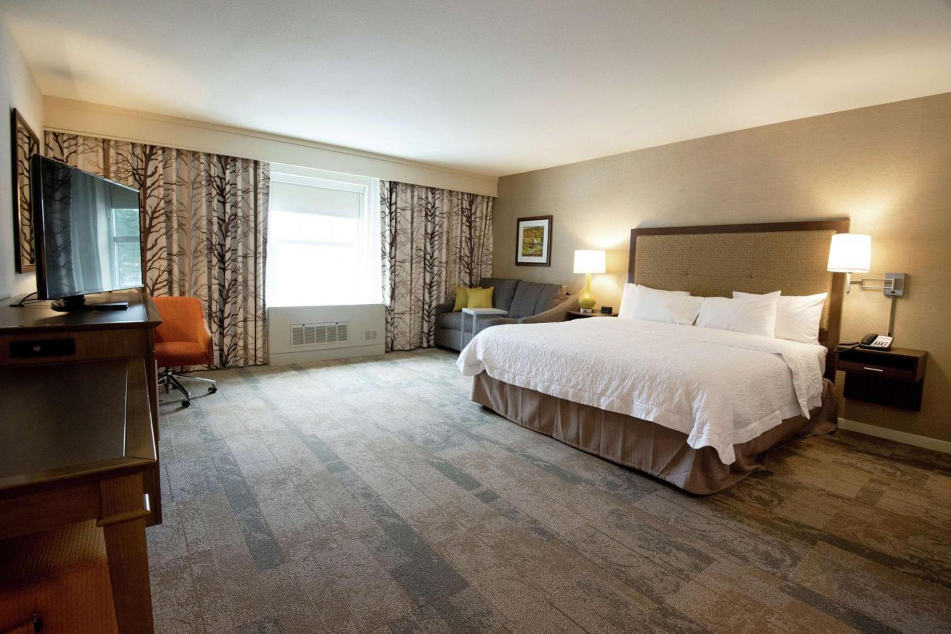 Hampton Inn & Suites Manchester, Vt photo 12