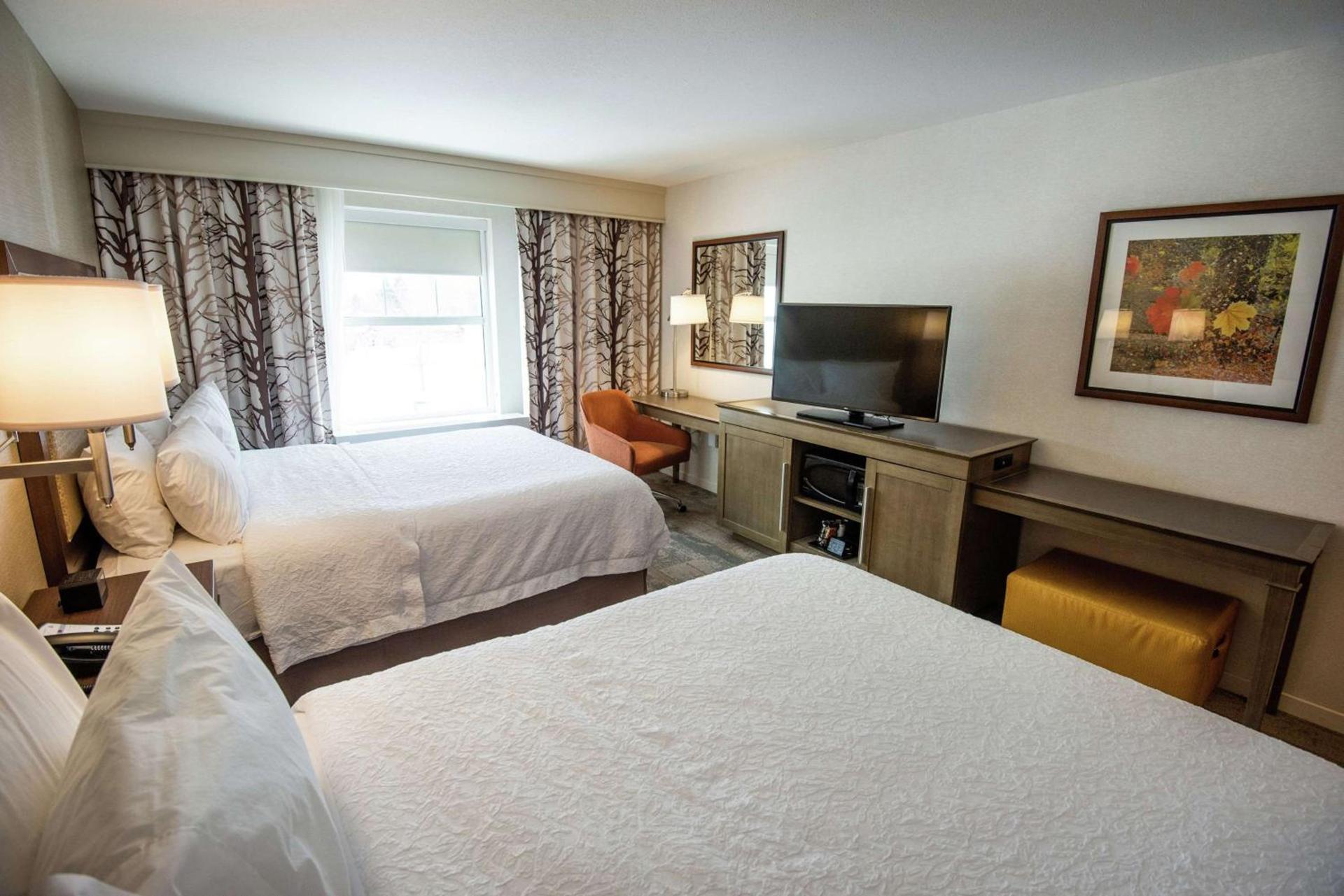 Hampton Inn & Suites Manchester, Vt photo 15