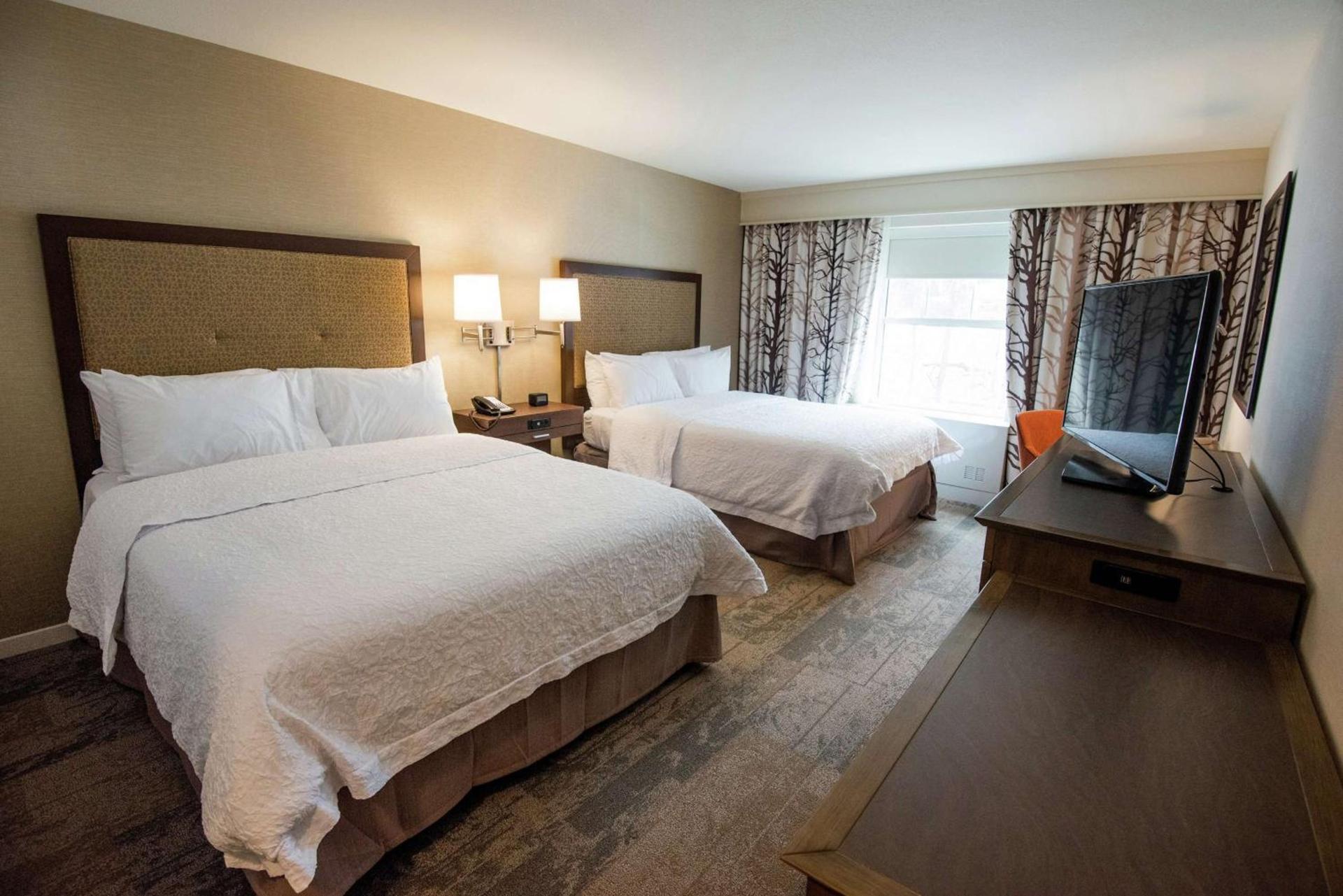 Hampton Inn & Suites Manchester, Vt photo 29