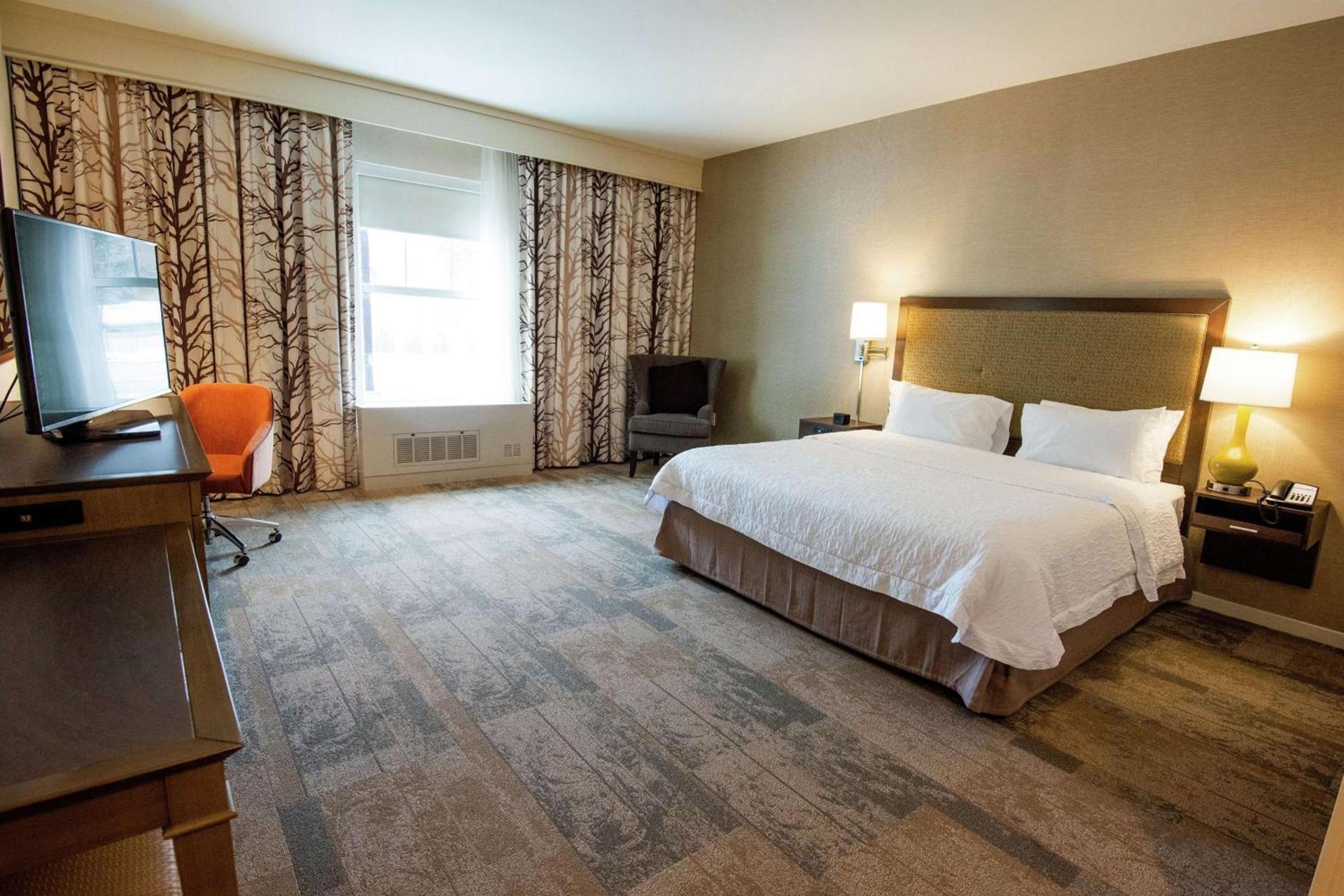 Hampton Inn & Suites Manchester, Vt photo 36
