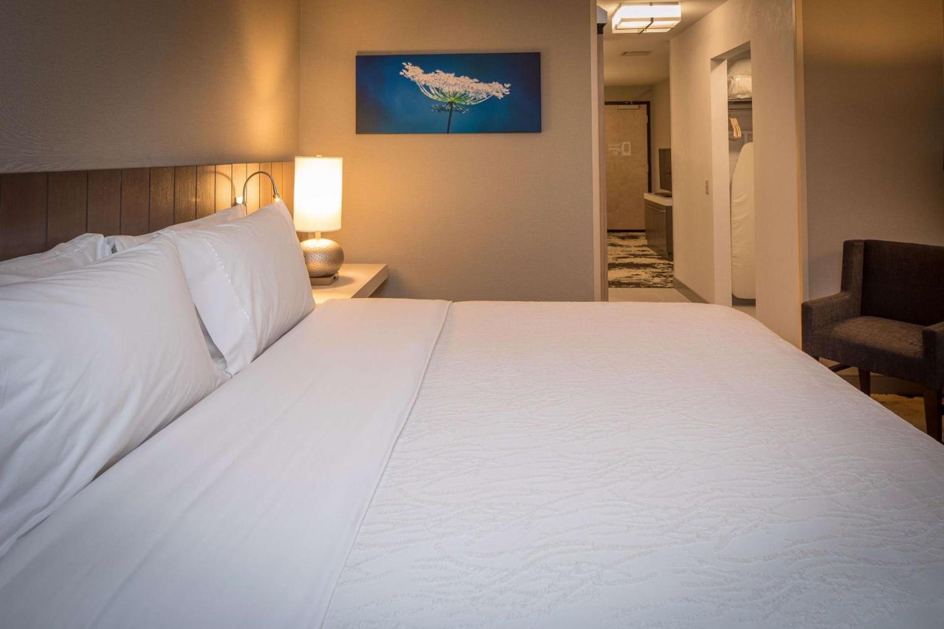 Hilton Garden Inn Pittsburgh Airport photo 24