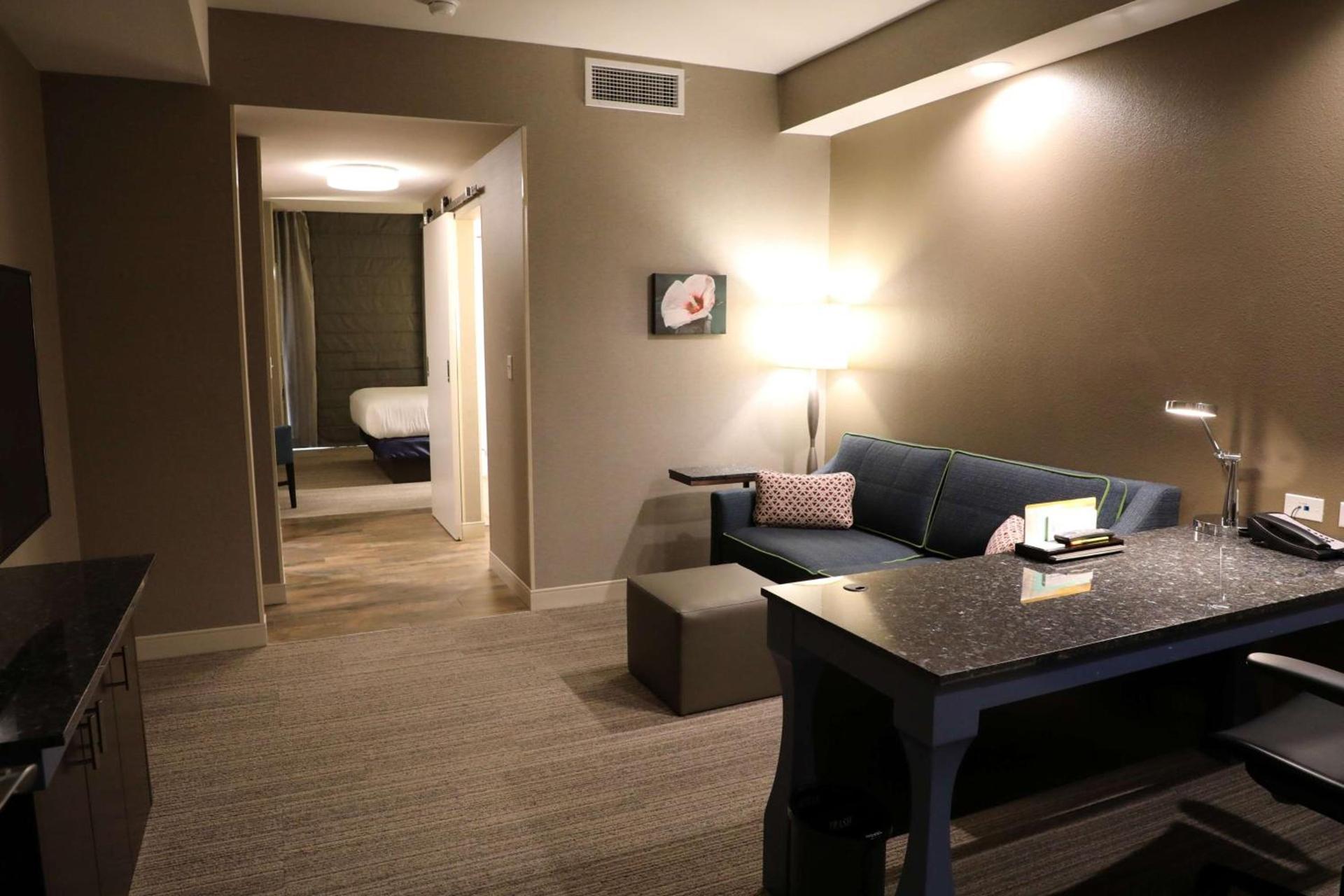 Hilton Garden Inn Austin Airport photo 2