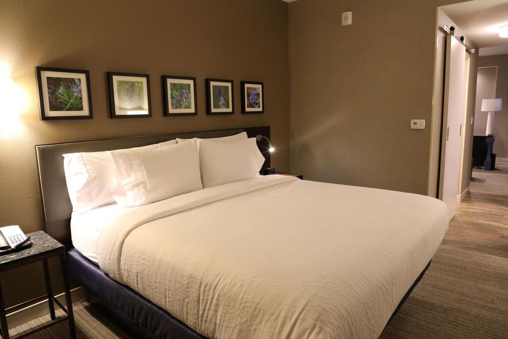 Hilton Garden Inn Austin Airport photo 19