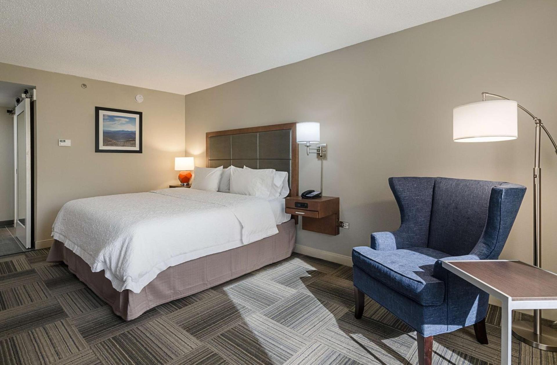 Hampton Inn Covington VA photo 25