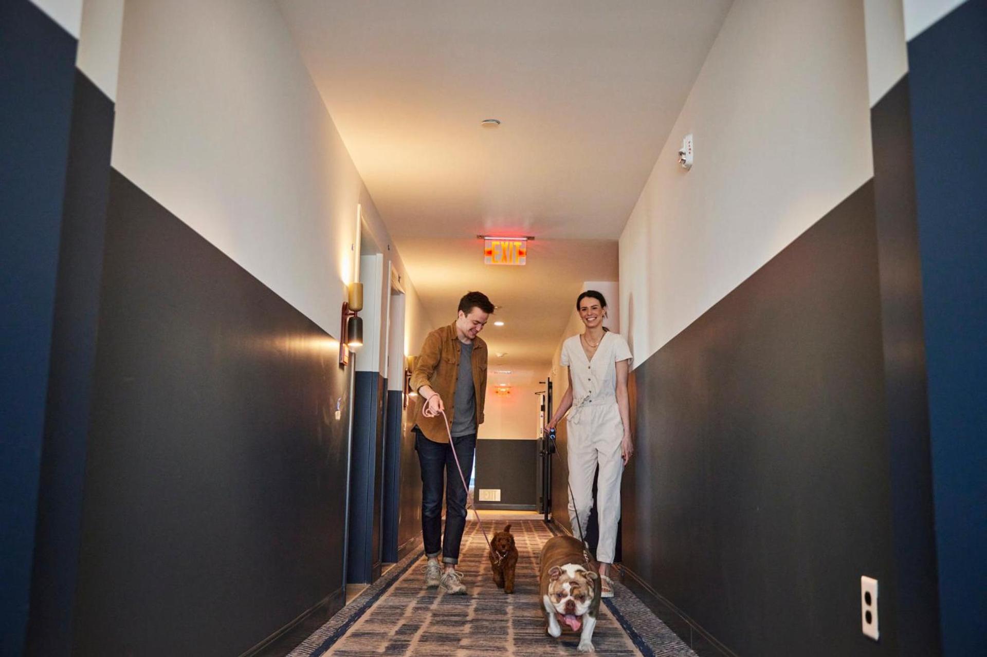The Junto Hotel photo 59