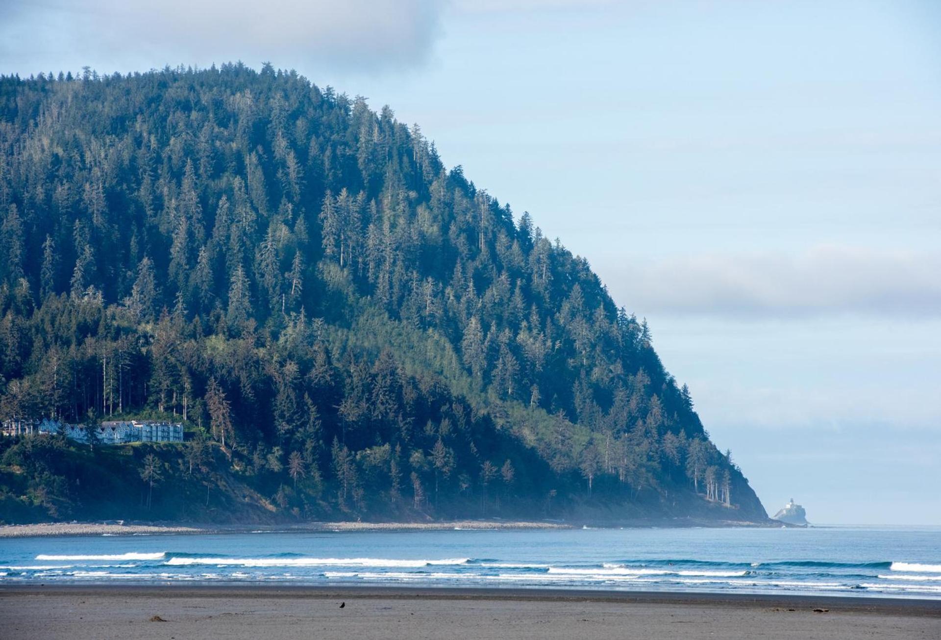 The Ocean Front at Seaside photo 25