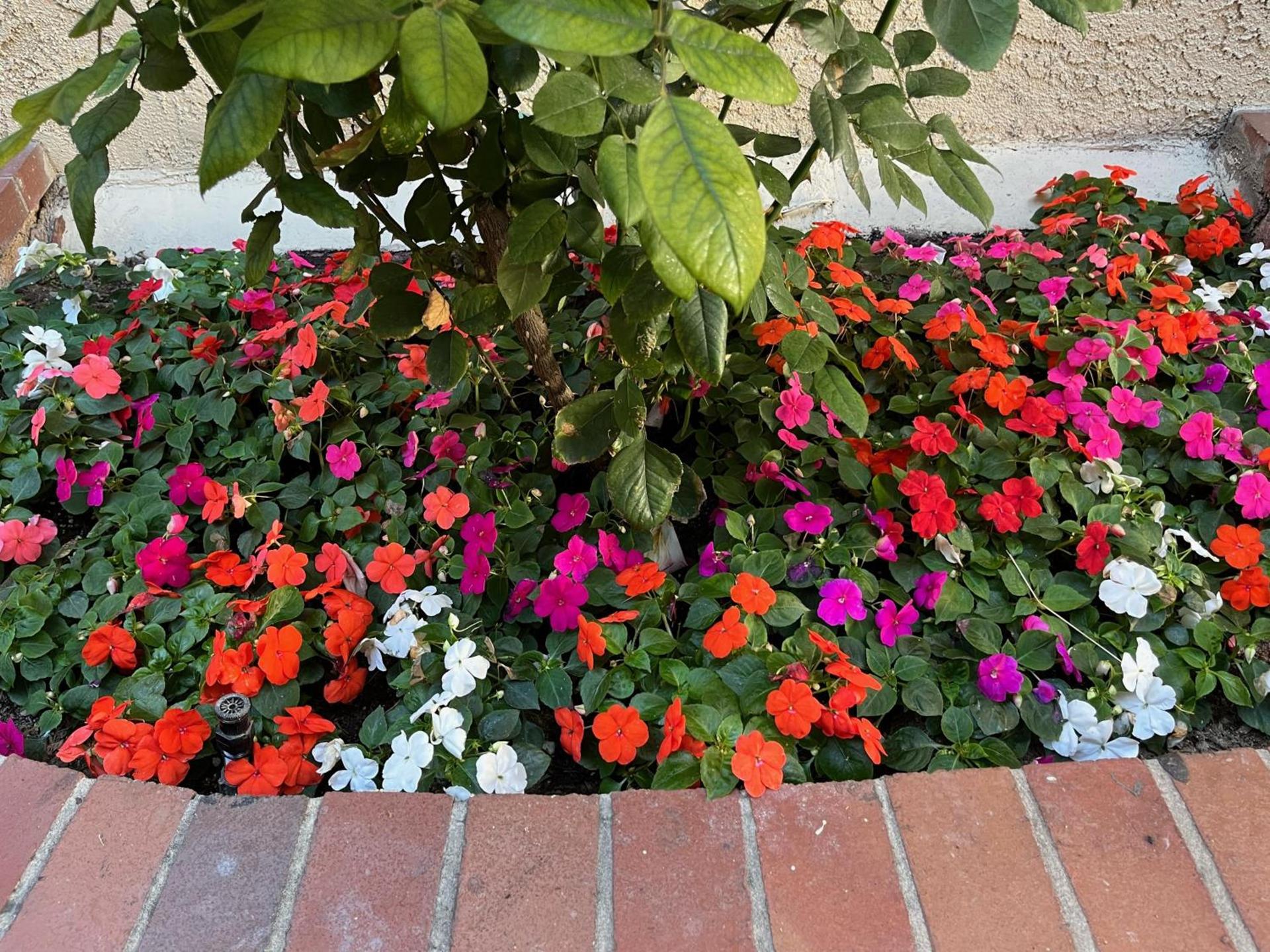 Laguna Inn and Suites photo 11