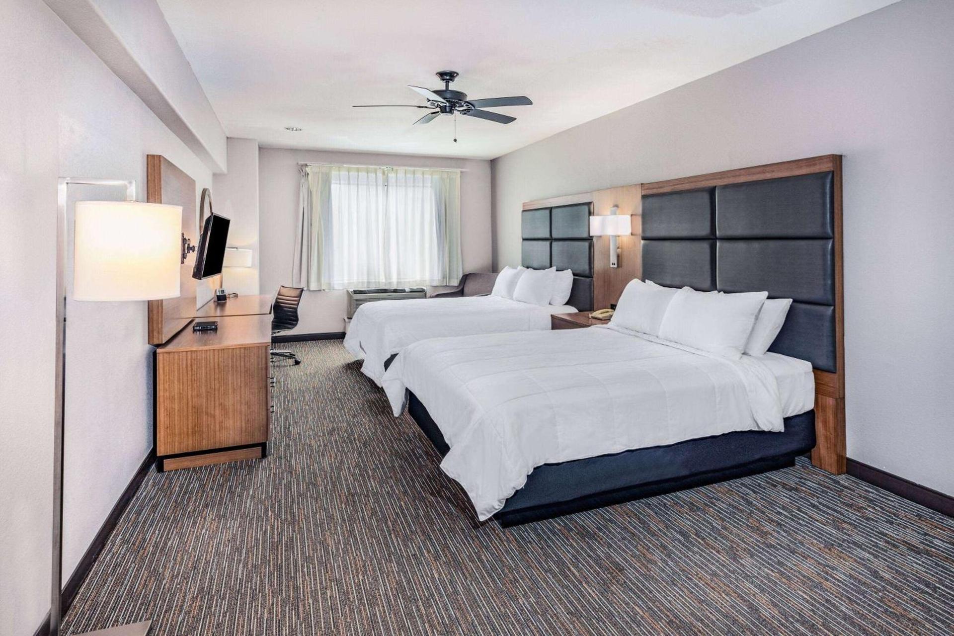 Wingate by Wyndham Houston Bush Intercontinental Airport photo 11