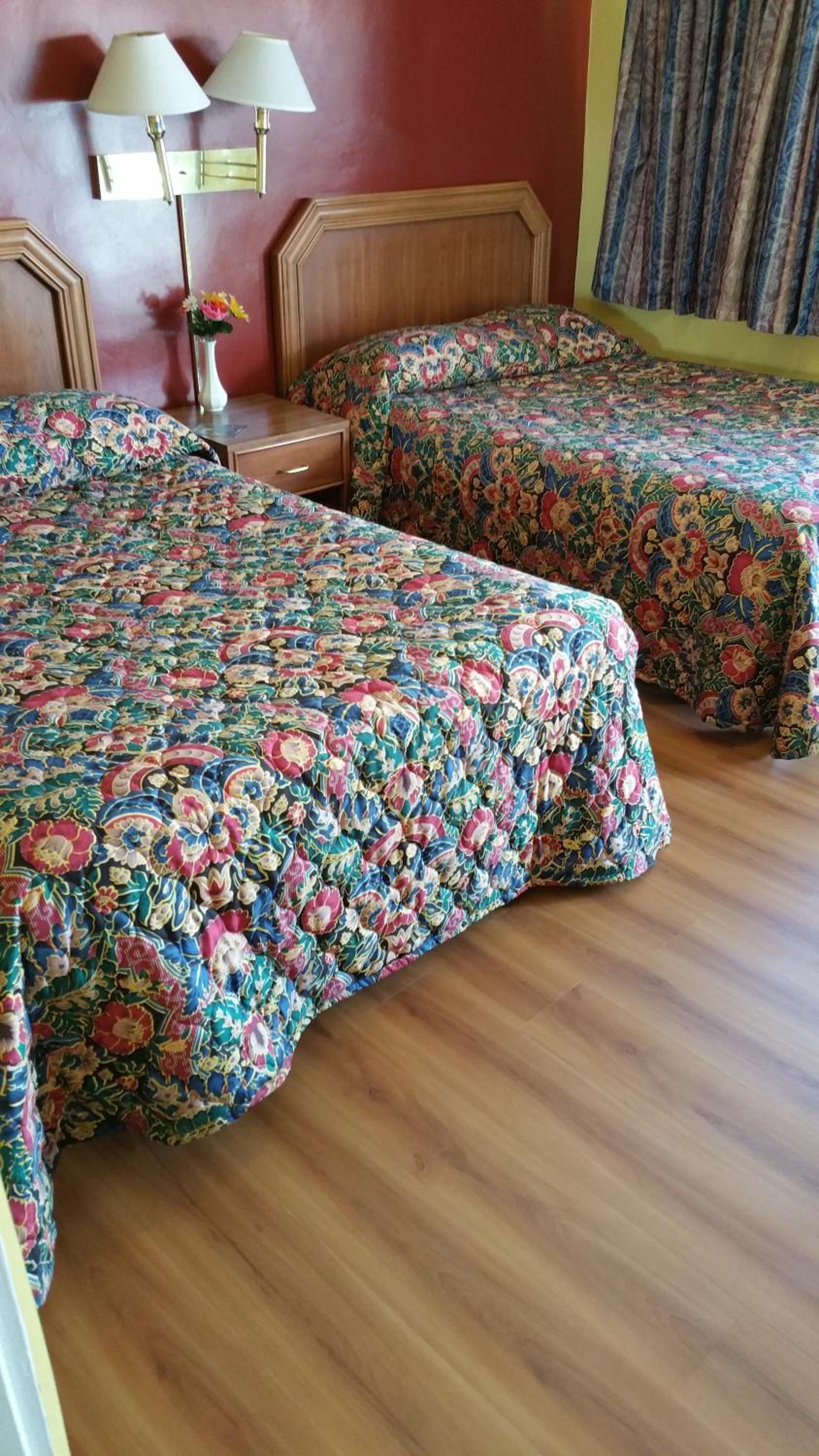 Slumber Motel photo 6