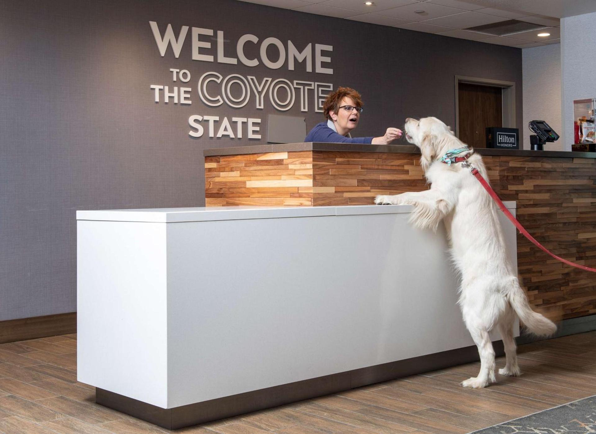 Hampton Inn & Suites Rapid City Rushmore, SD photo 6