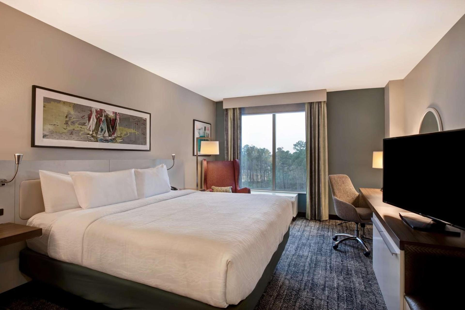 Hilton Garden Inn Summerville, Sc photo 44