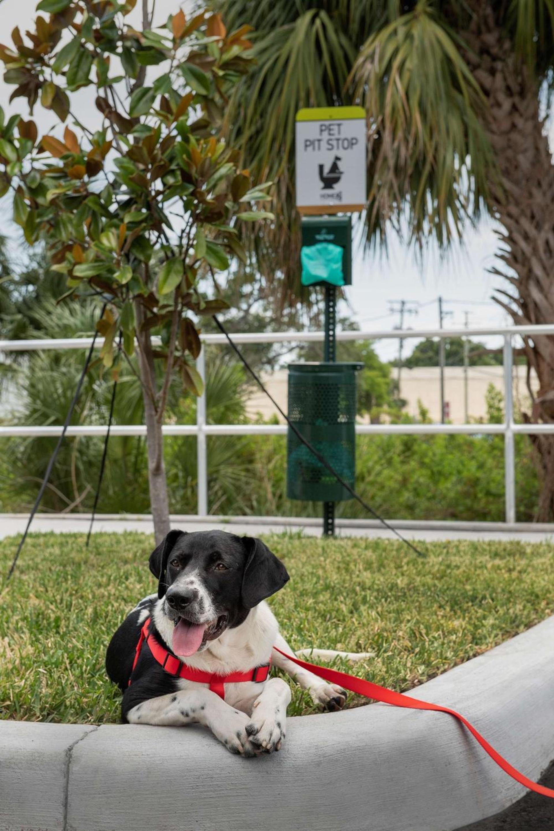Home2 Suites By Hilton Tampa Westshore Airport, Fl photo 8