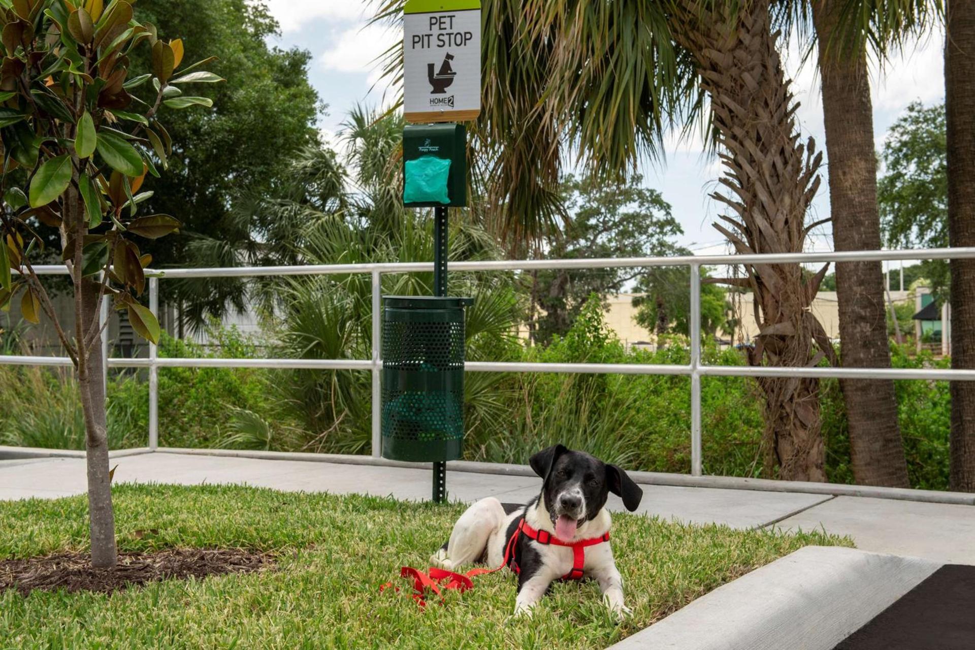 Home2 Suites By Hilton Tampa Westshore Airport, Fl photo 9