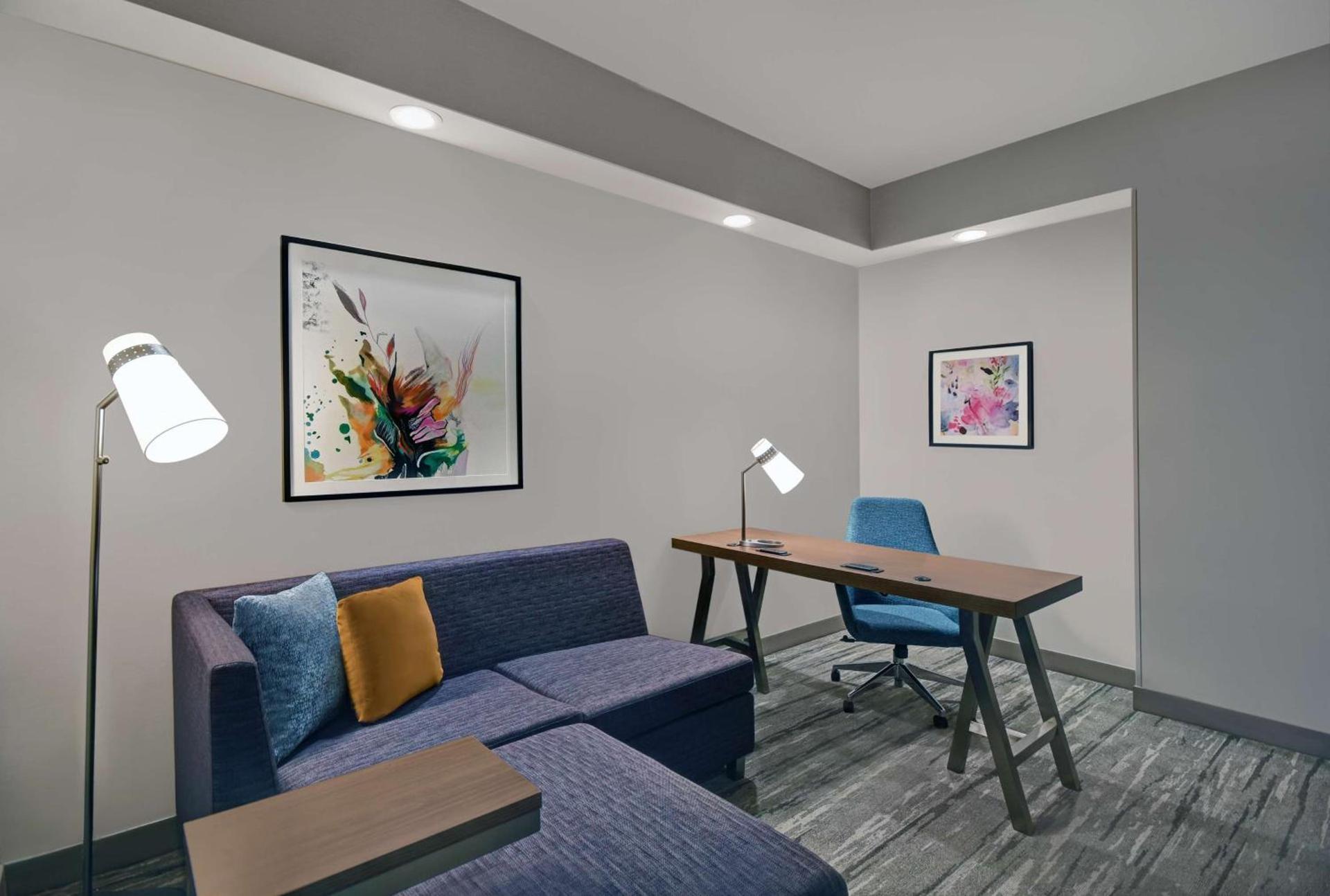 Hilton Garden Inn Houston Medical Center, TX photo 31