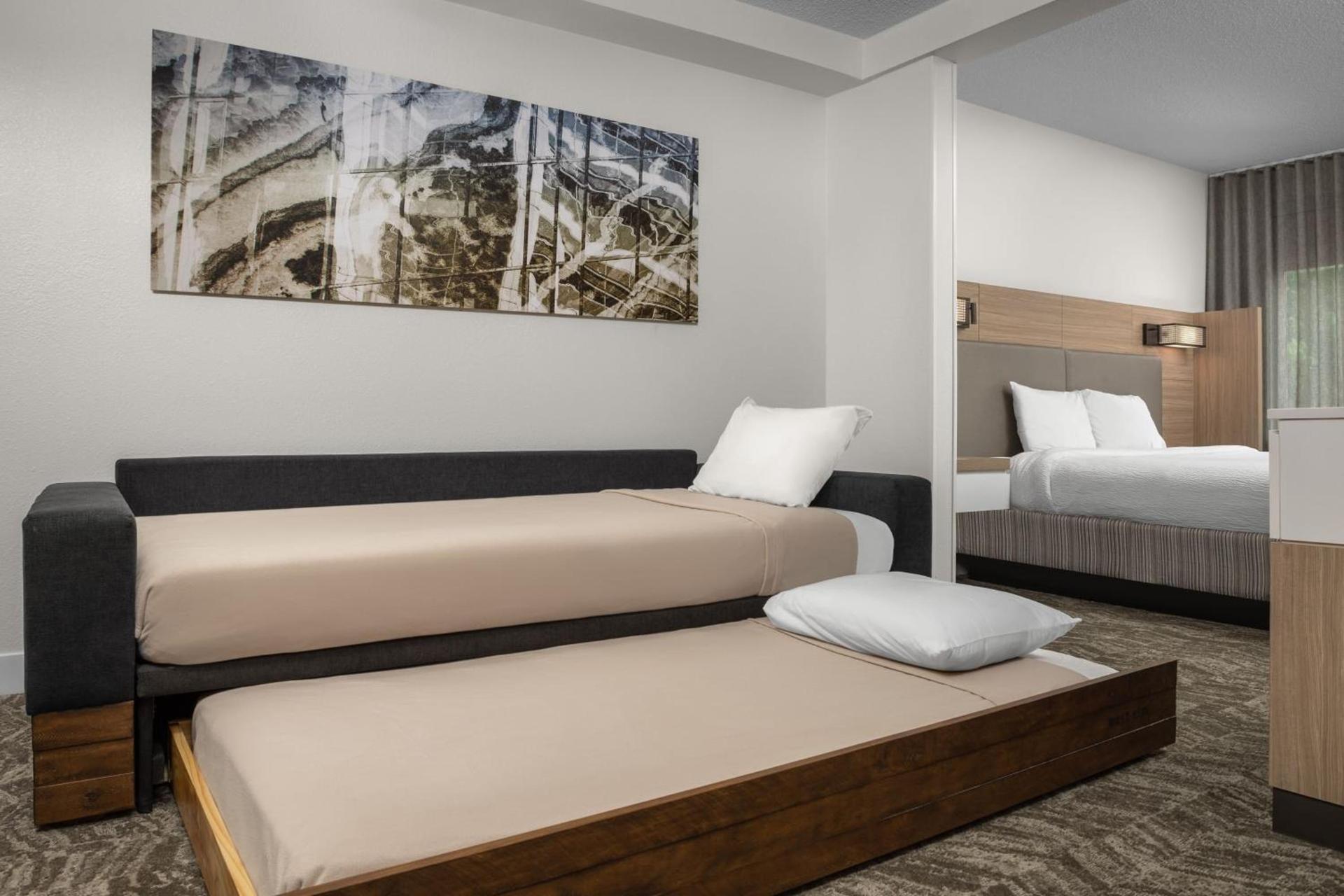 SpringHill Suites by Marriott Atlanta Buford/Mall of Georgia photo 19