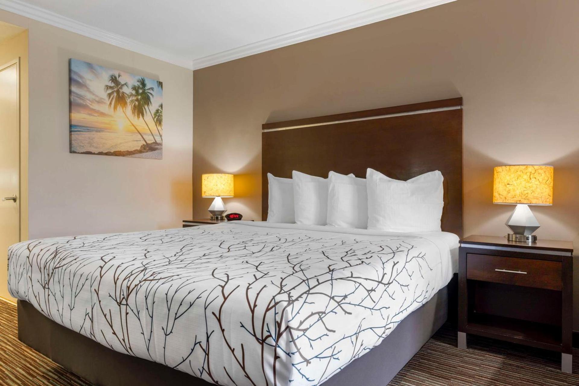 Best Western Redondo Beach Galleria Hotel - Beach City LA photo 7