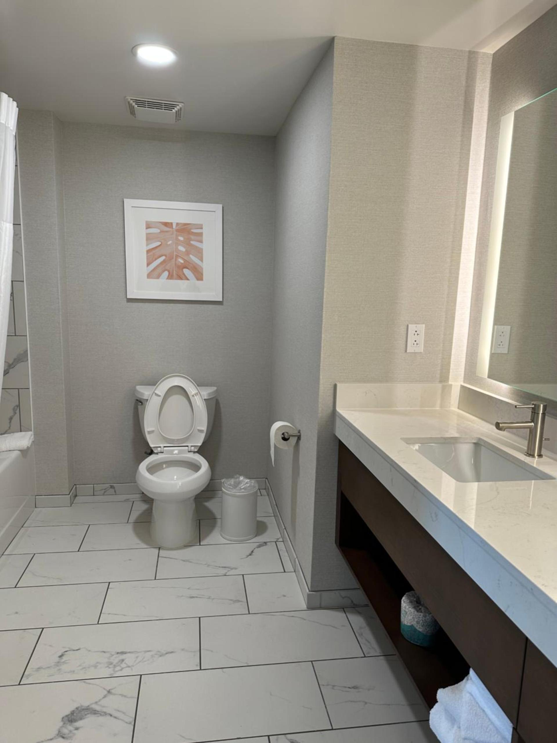 Hampton Inn Virginia Beach-Oceanfront South photo 86