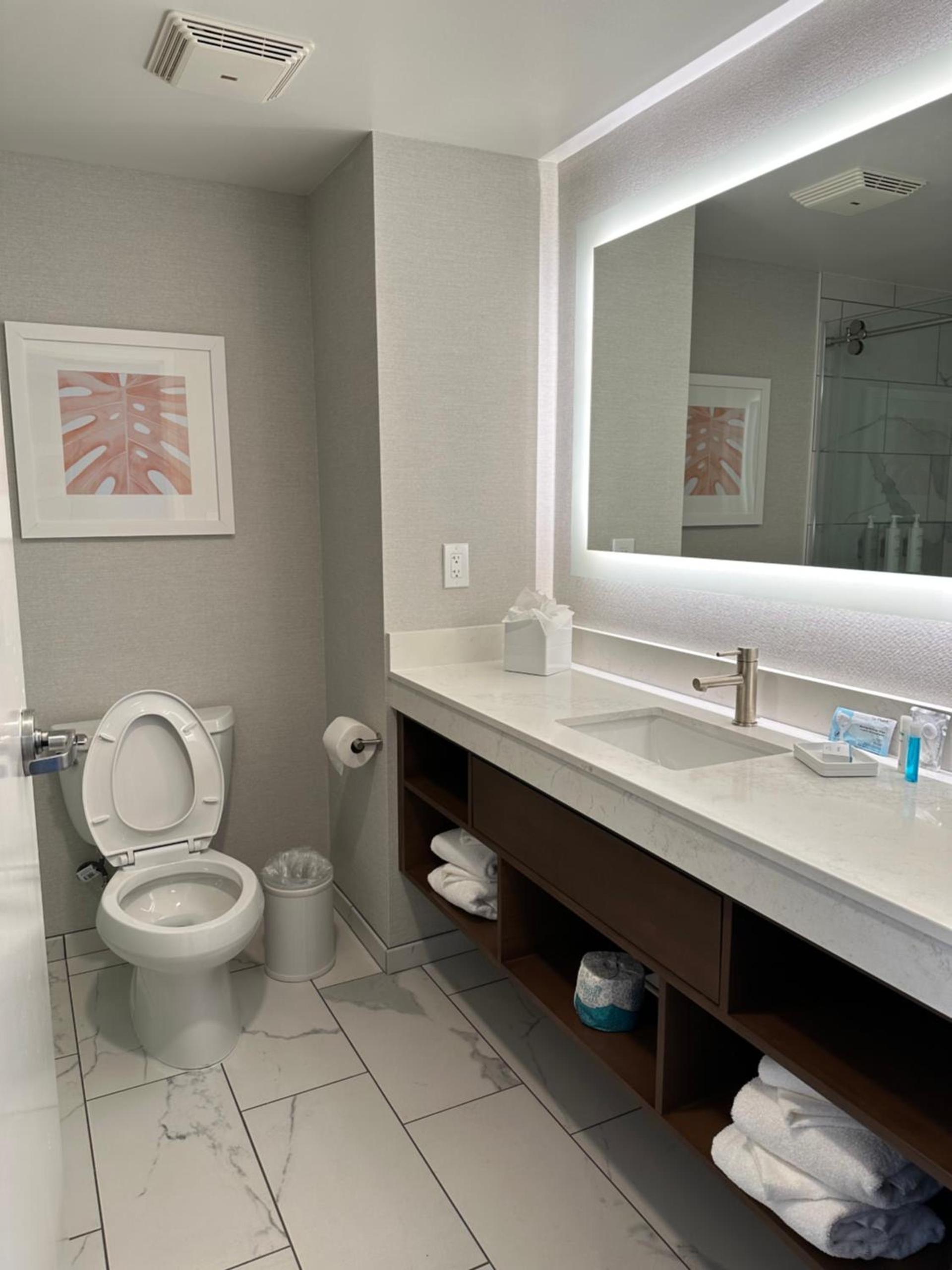Hampton Inn Virginia Beach-Oceanfront South photo 88