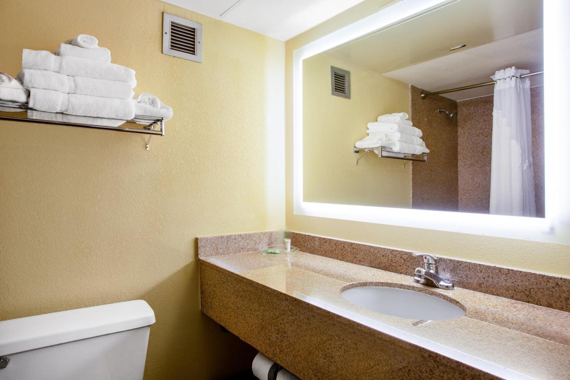 Holiday Inn Morgantown - Reading Area by IHG photo 63