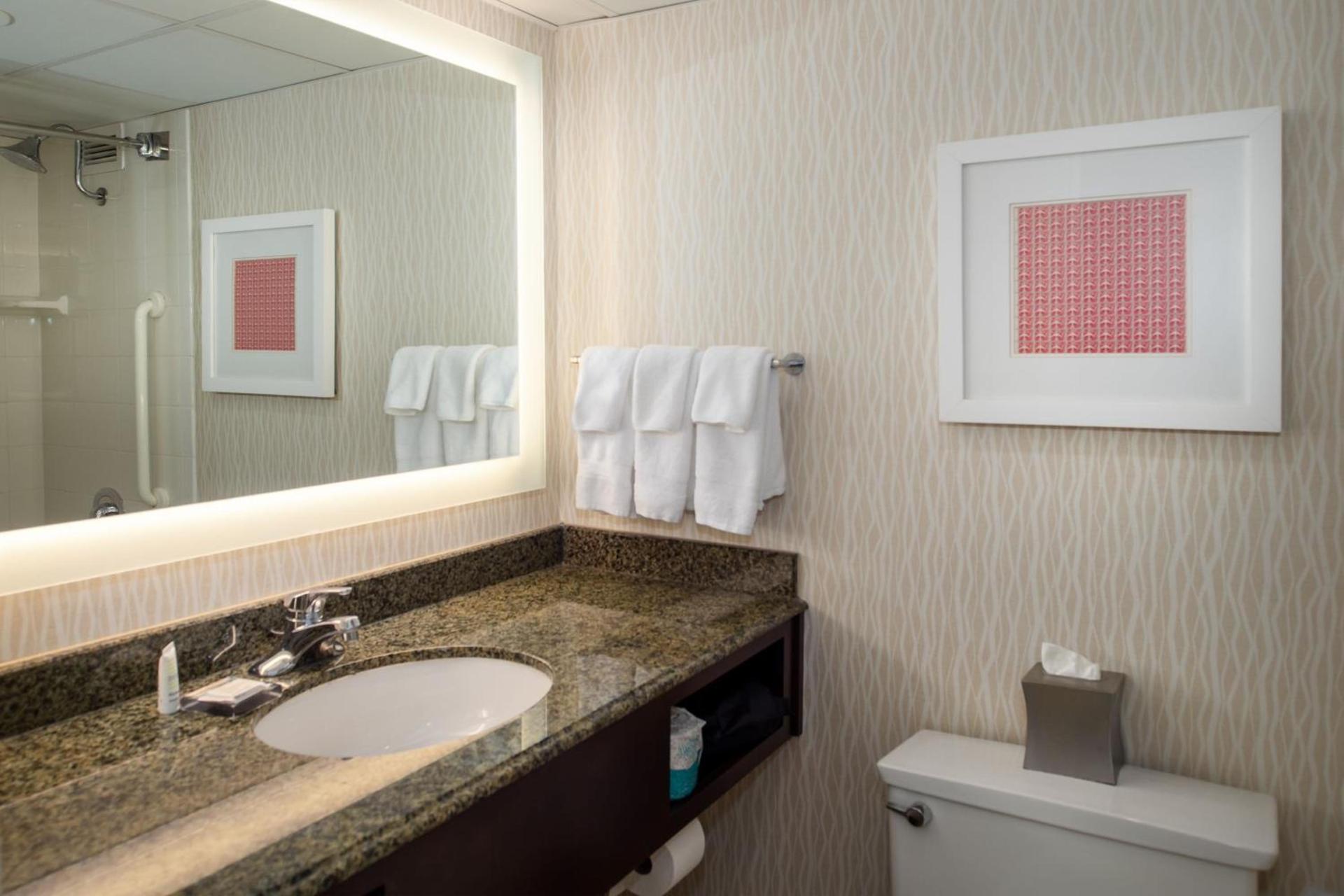 Marriott St. Louis Airport photo 34