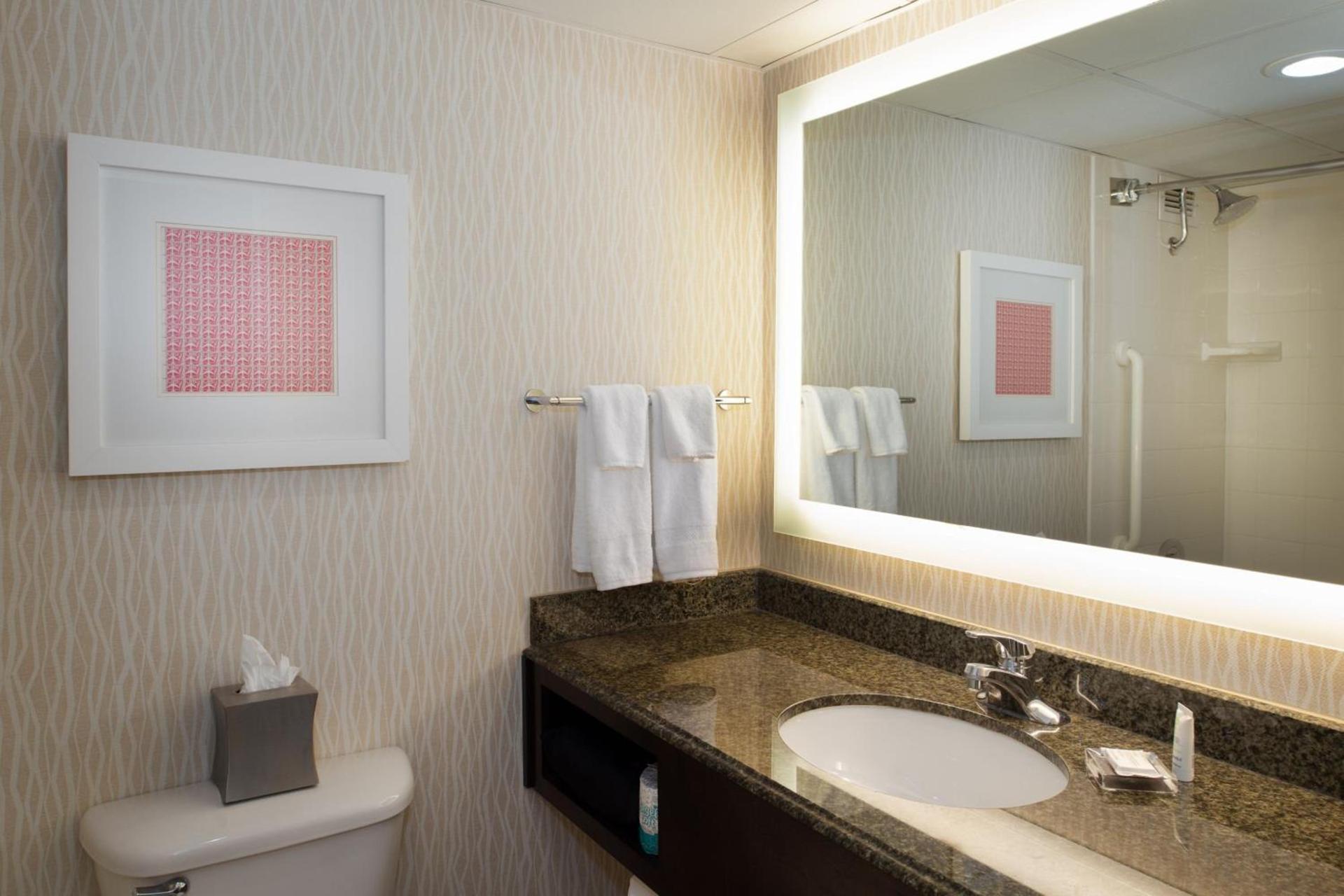 Marriott St. Louis Airport photo 35