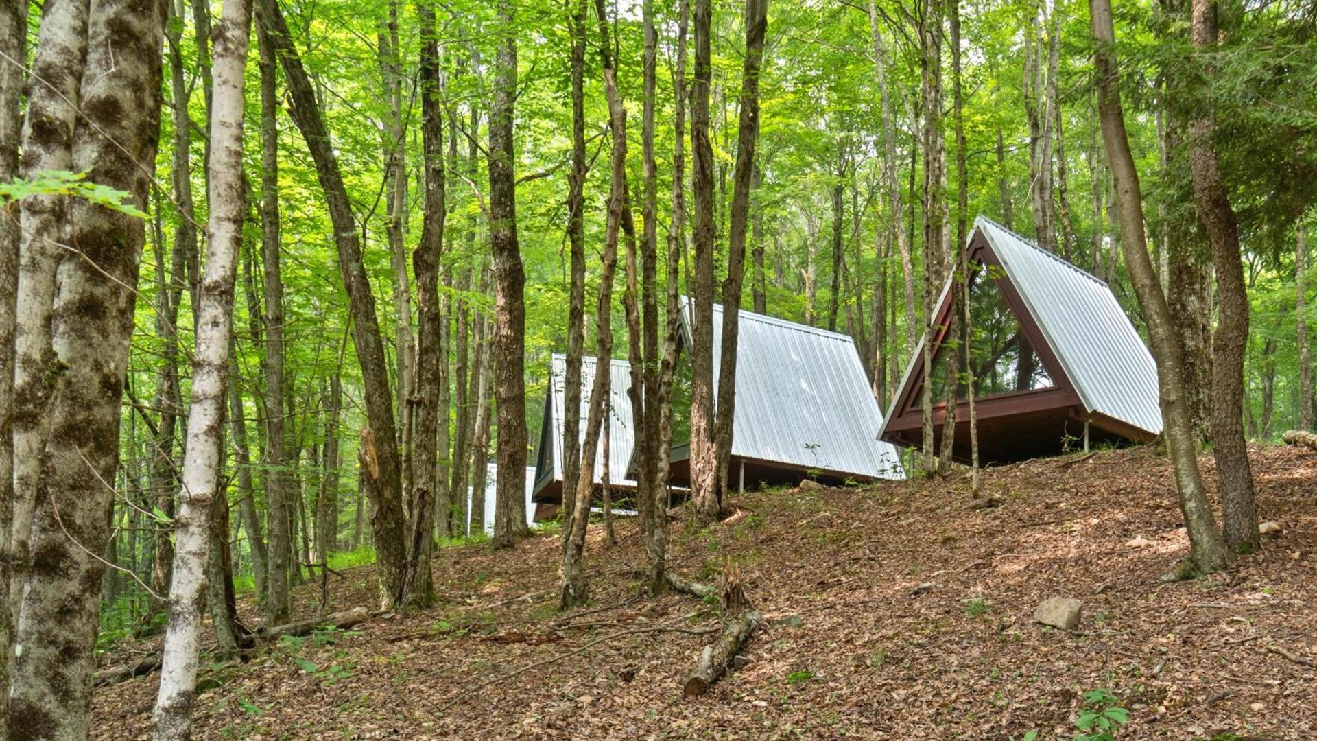 Callicoon Hills photo 53
