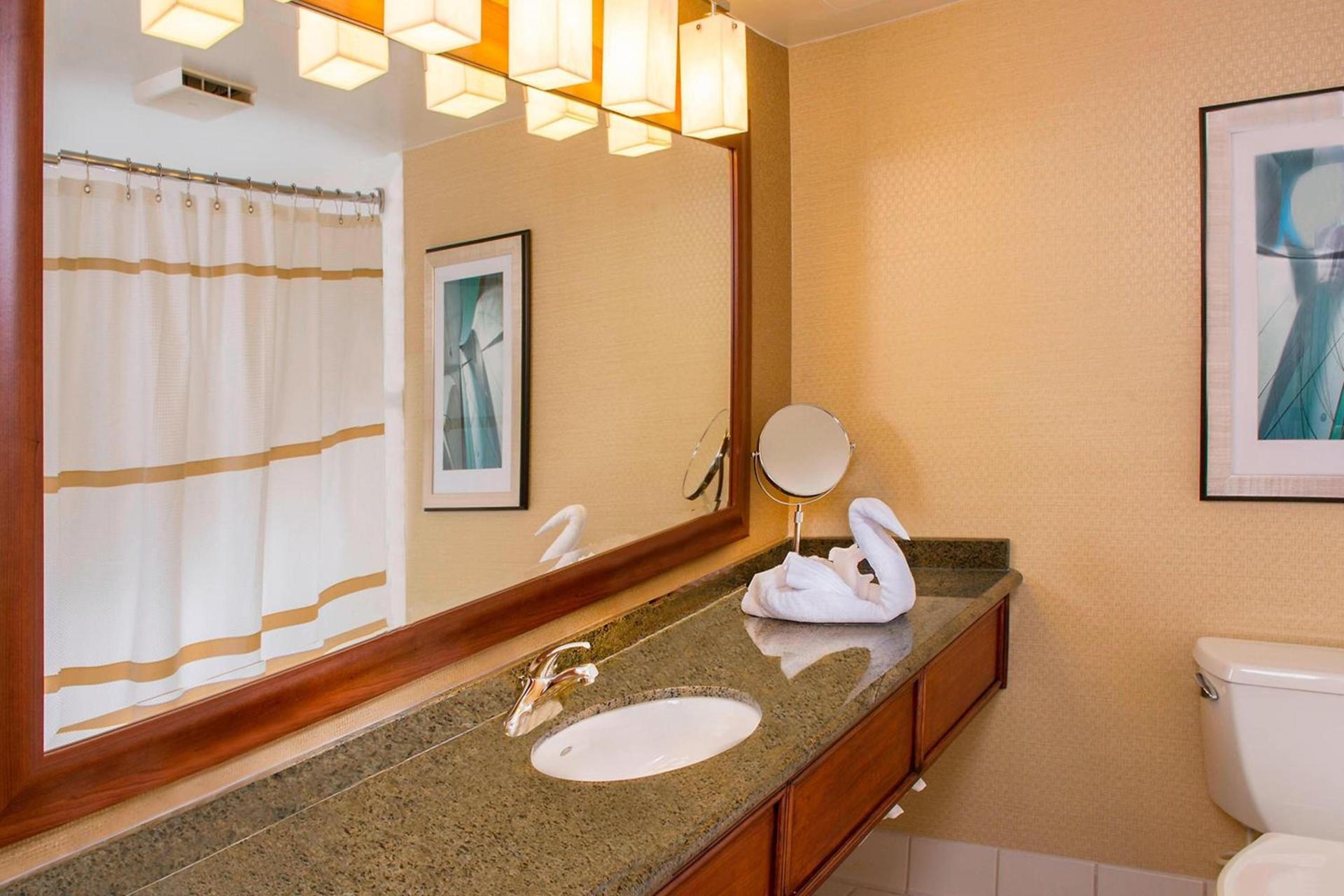 BWI Airport Marriott photo 10