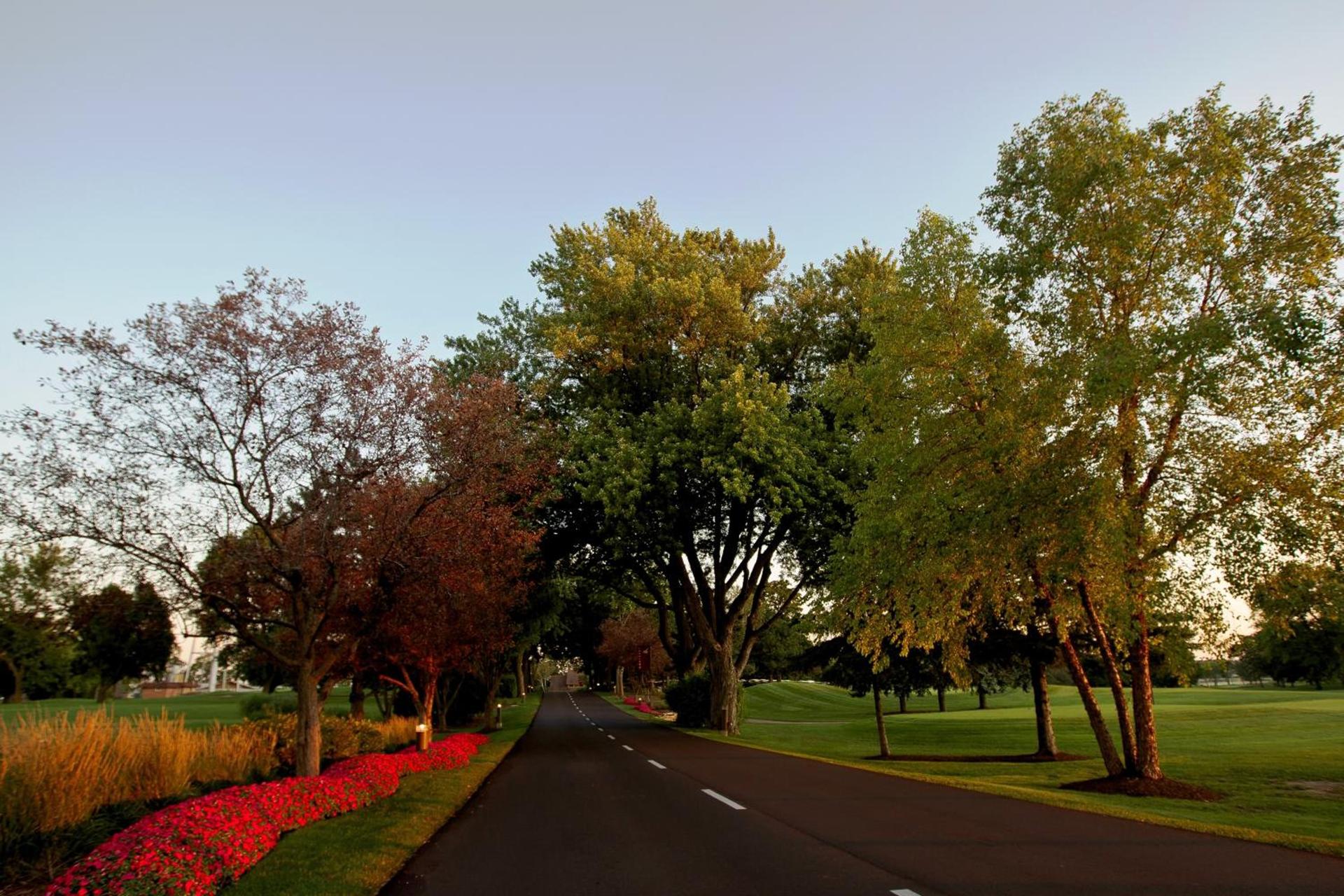 Lake Lawn Resort photo 23