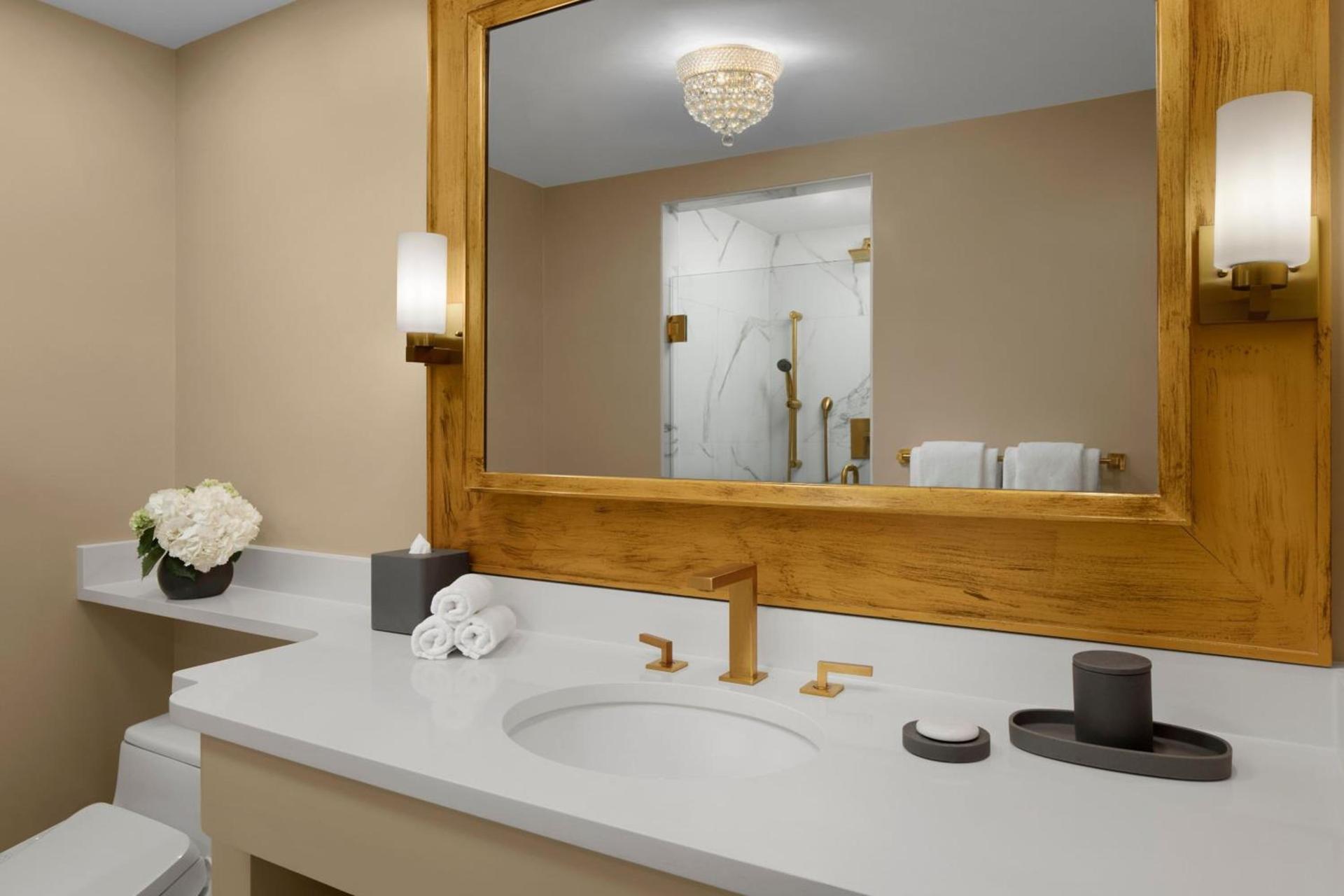 The St. Regis Washington, D.C. photo 43