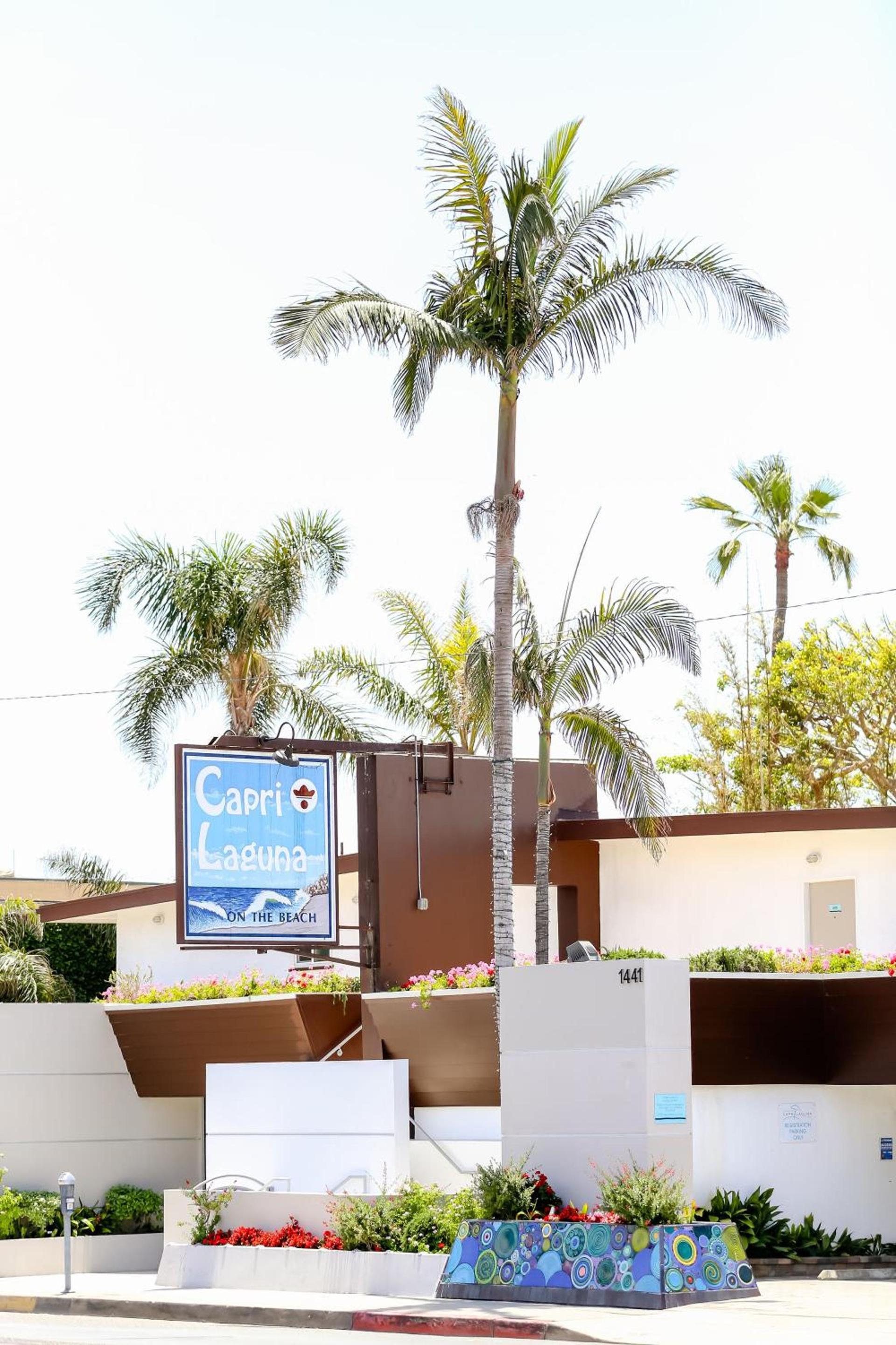 Capri Laguna on the Beach - A Boutique Hotel photo 3