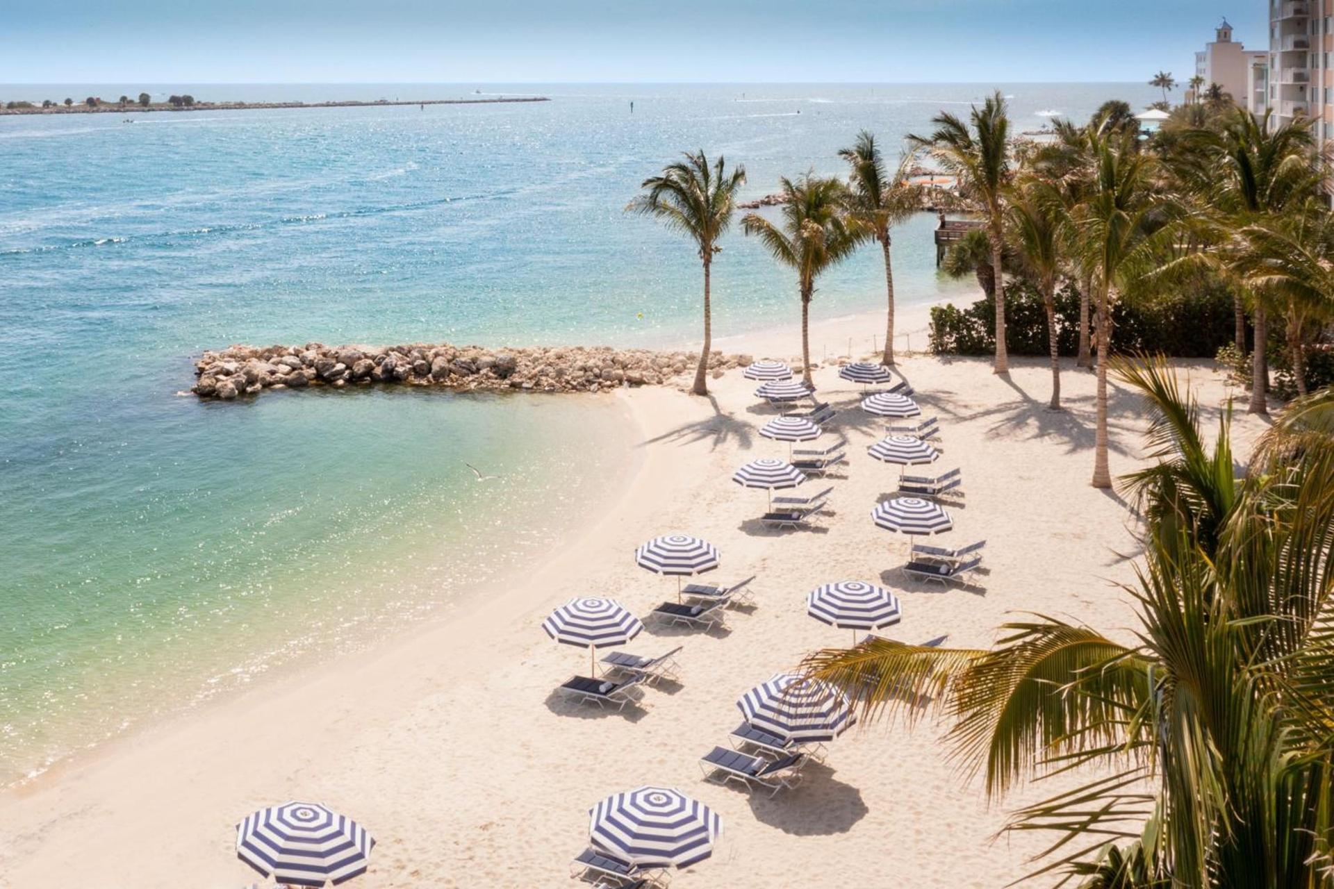 JW Marriott Clearwater Beach Resort & Spa photo 8