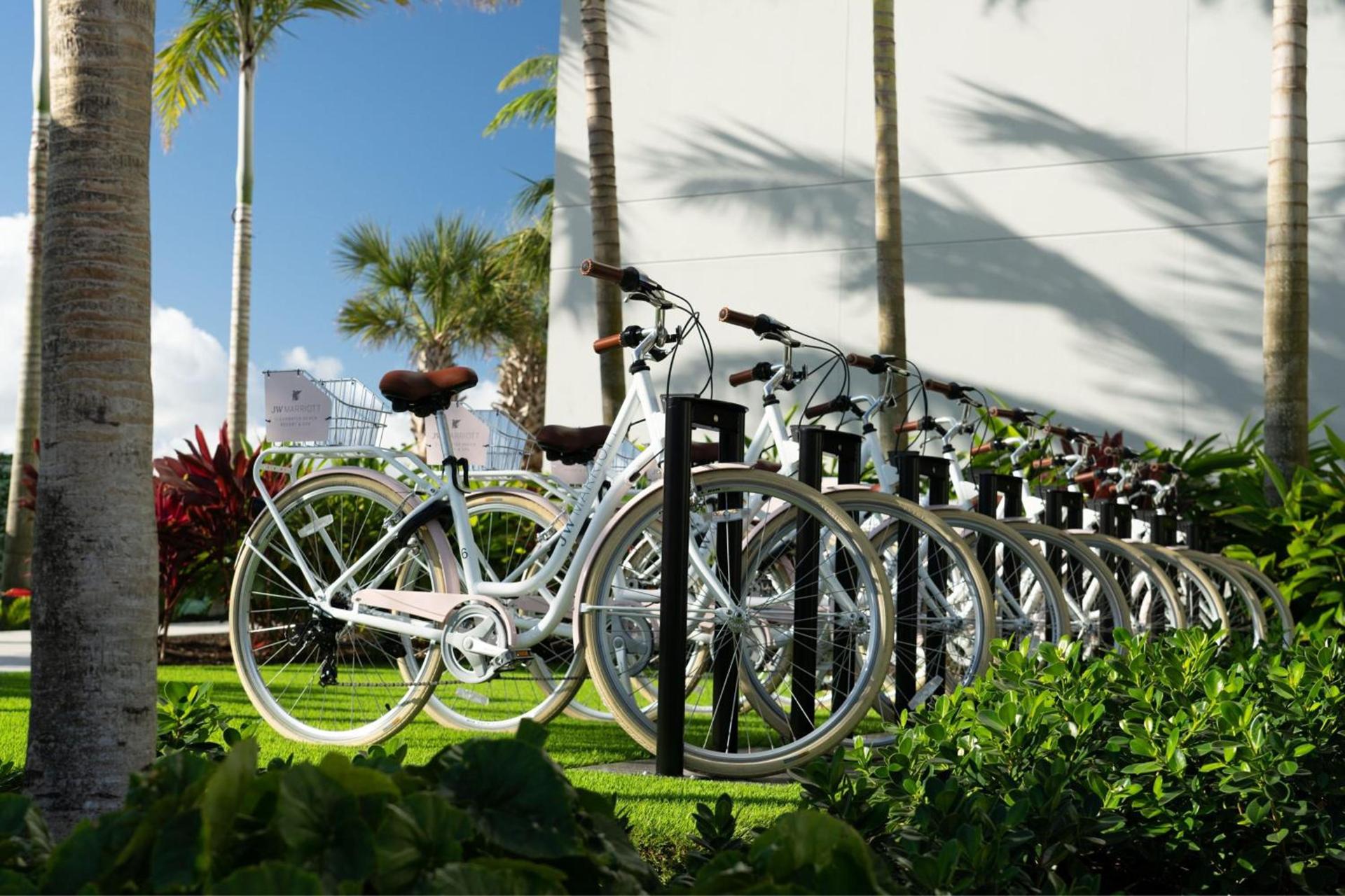 JW Marriott Clearwater Beach Resort & Spa photo 47